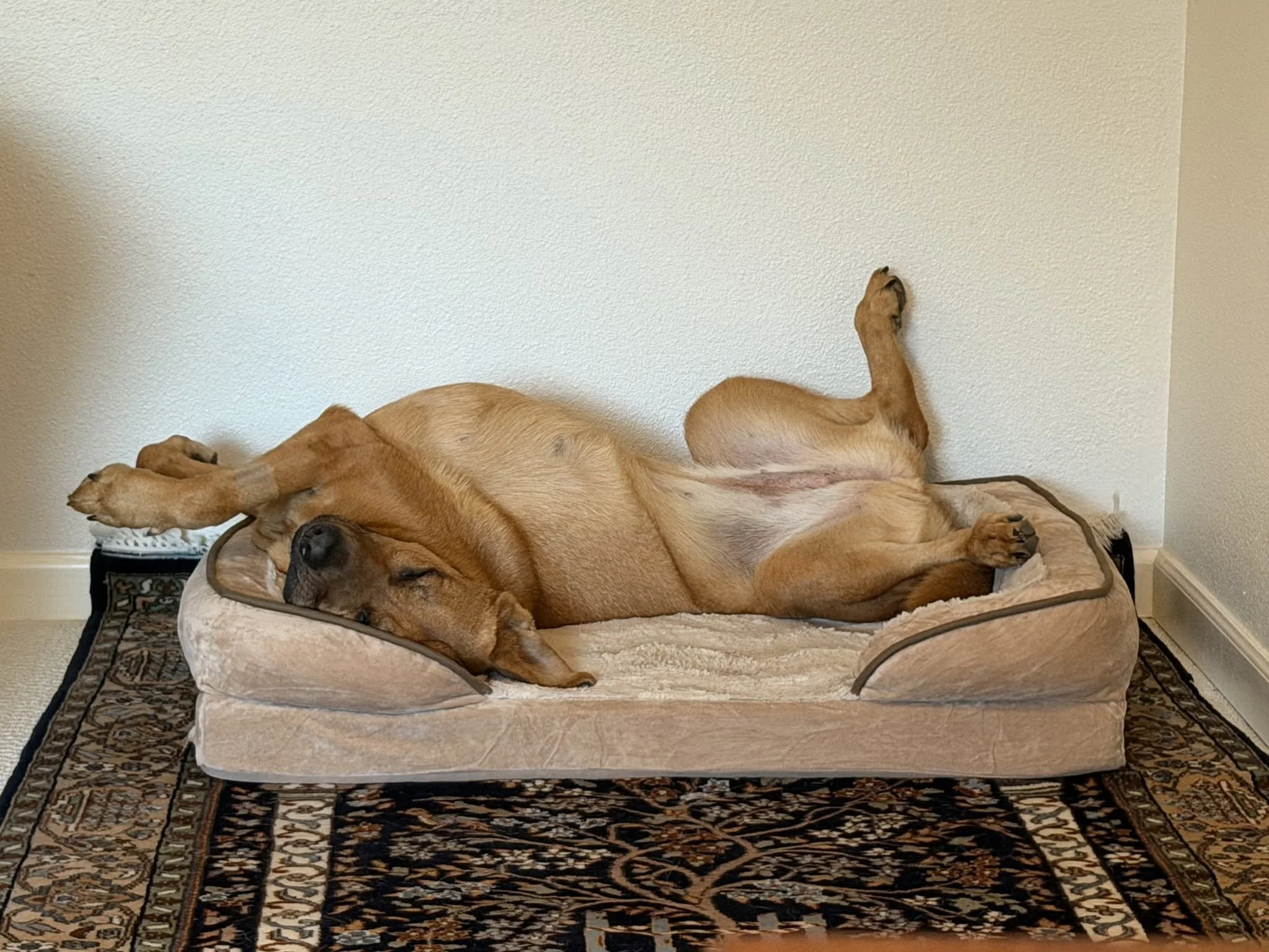 Norasleepsupsidedown.jpg