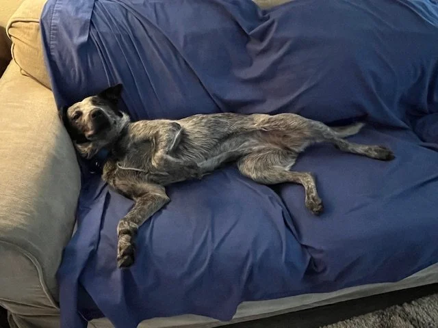 Annierelaxes.jpg