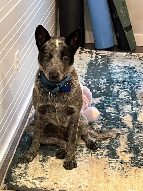 Anniealsomatchesrug.jpg