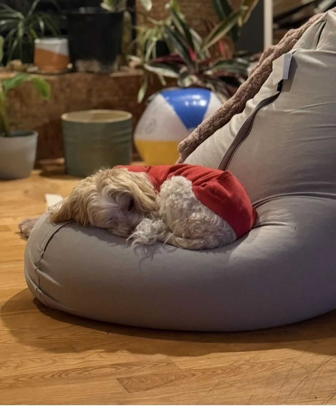 ACBillysleepy.jpeg