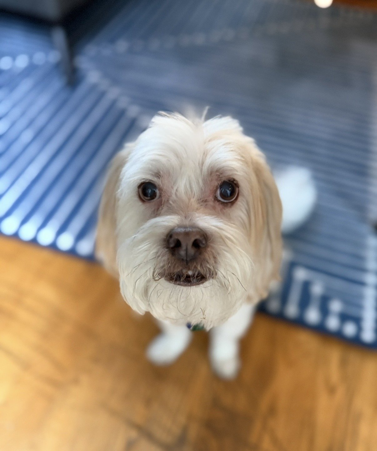 Billy