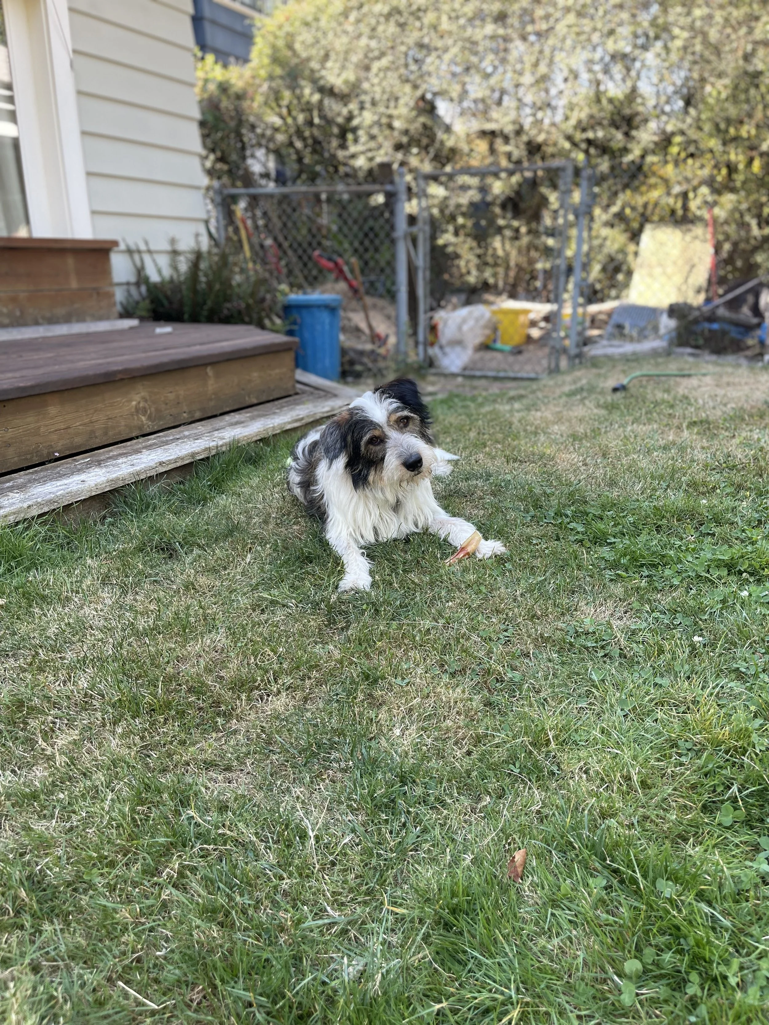 IMG_1246.jpeg