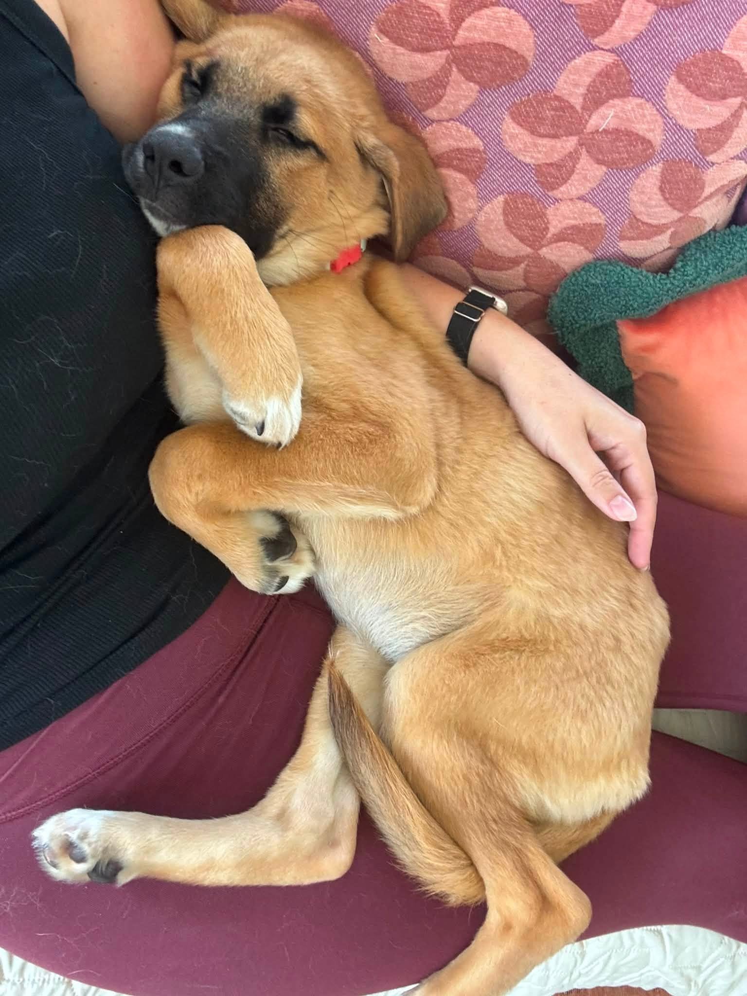 Arielsleeps.jpg