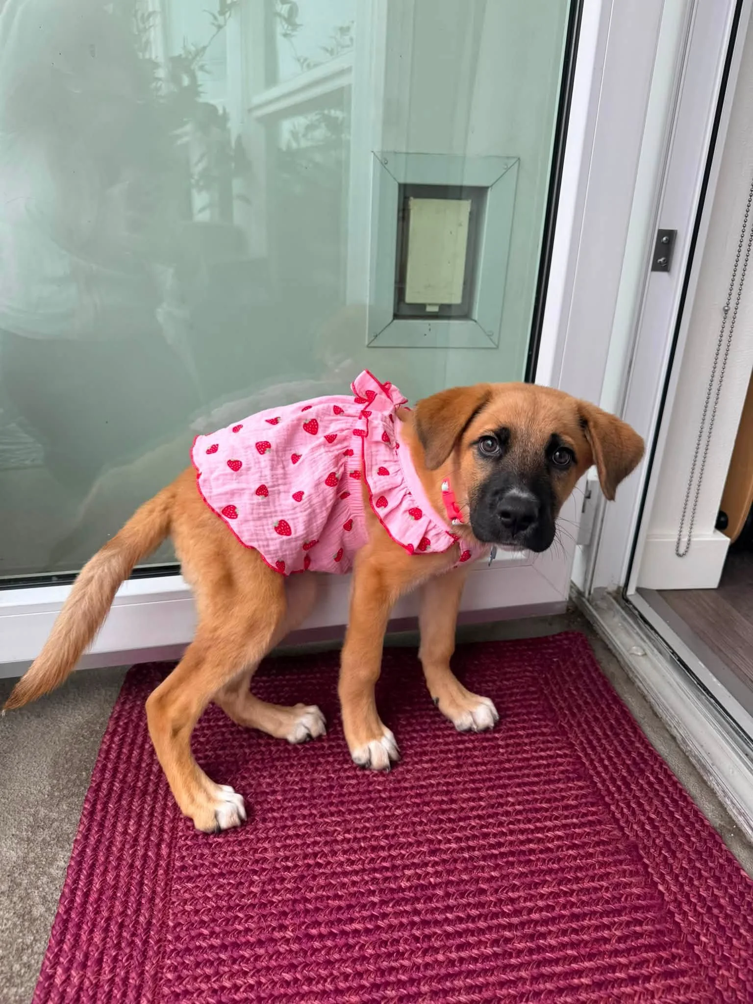 Arielstrawberrydress2.jpg
