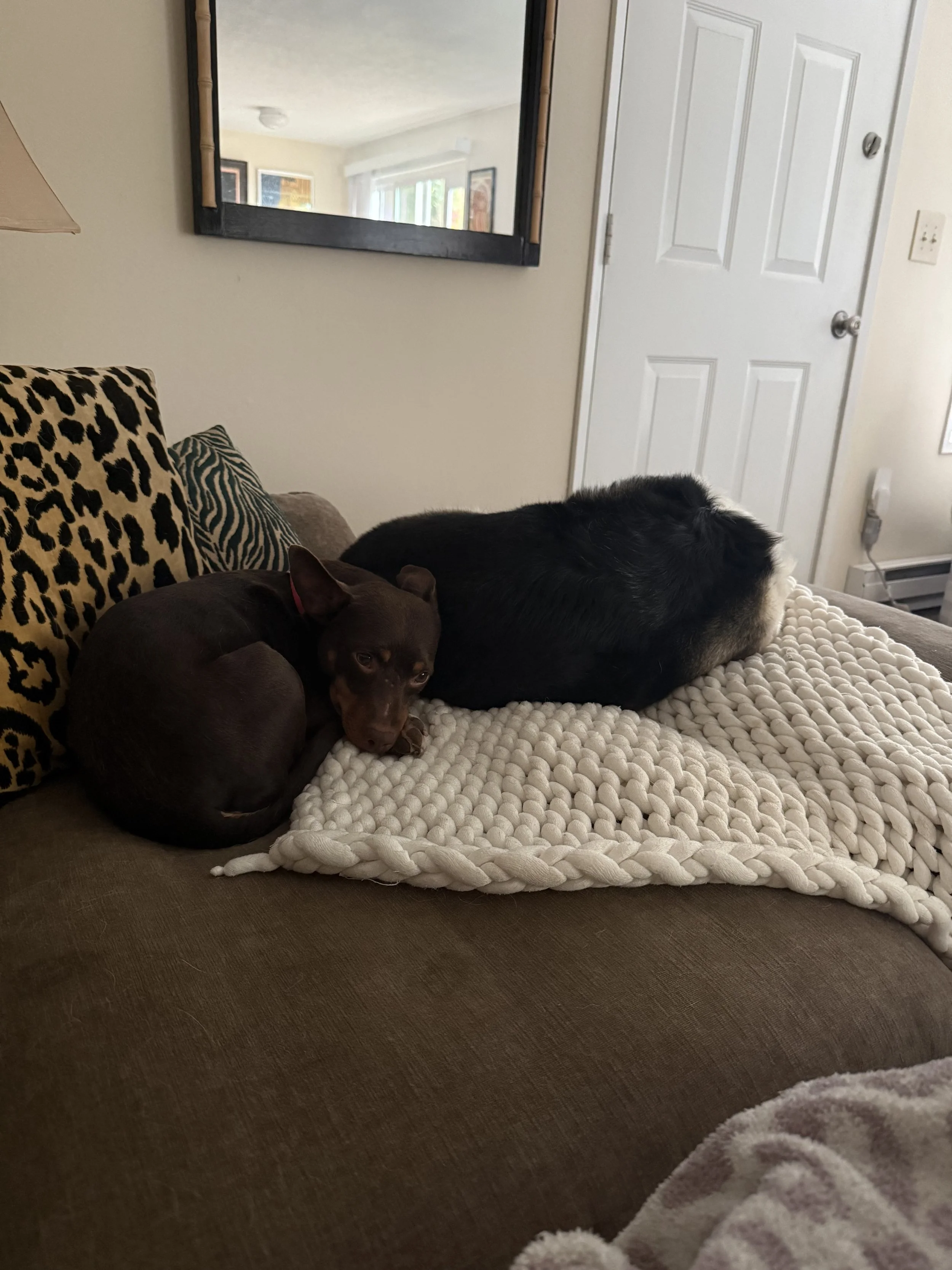Crunchwrapcuddlesfriend.jpeg