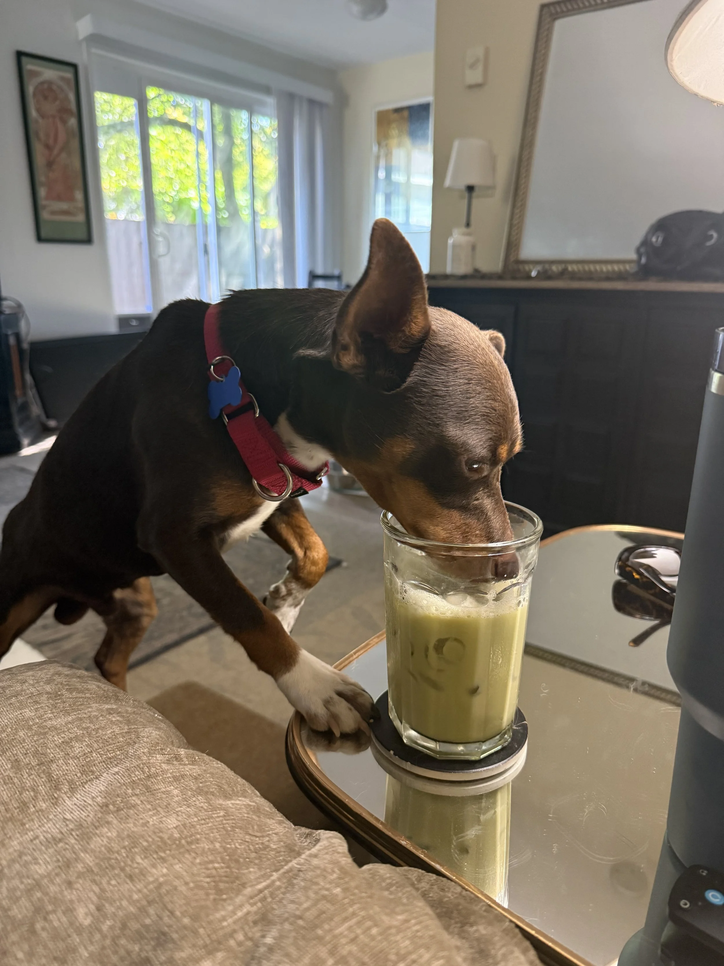 Crunchwrapdrink.jpeg