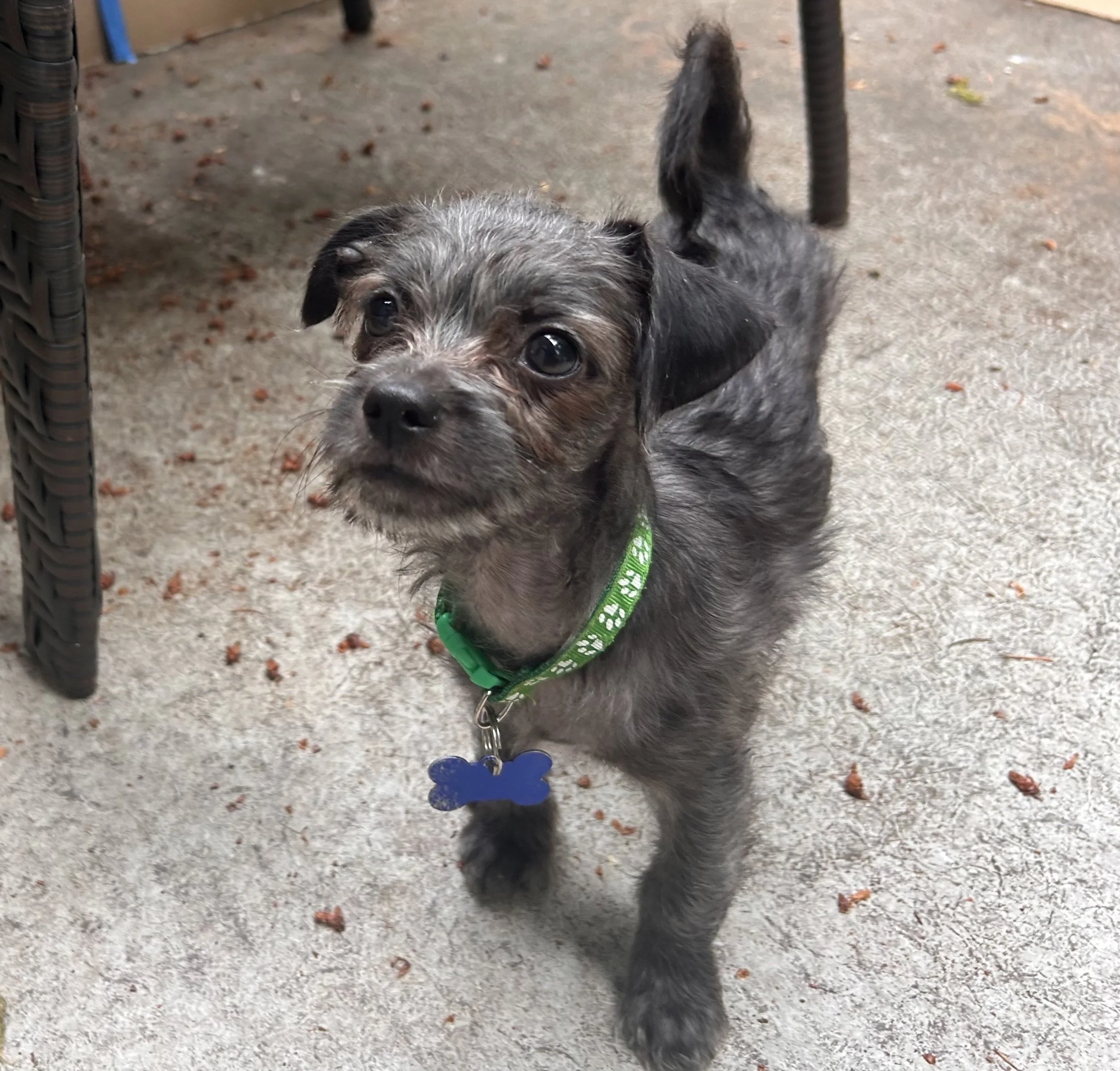 Max