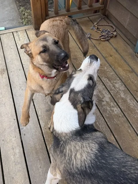 Sallyandfriendreunited.jpeg