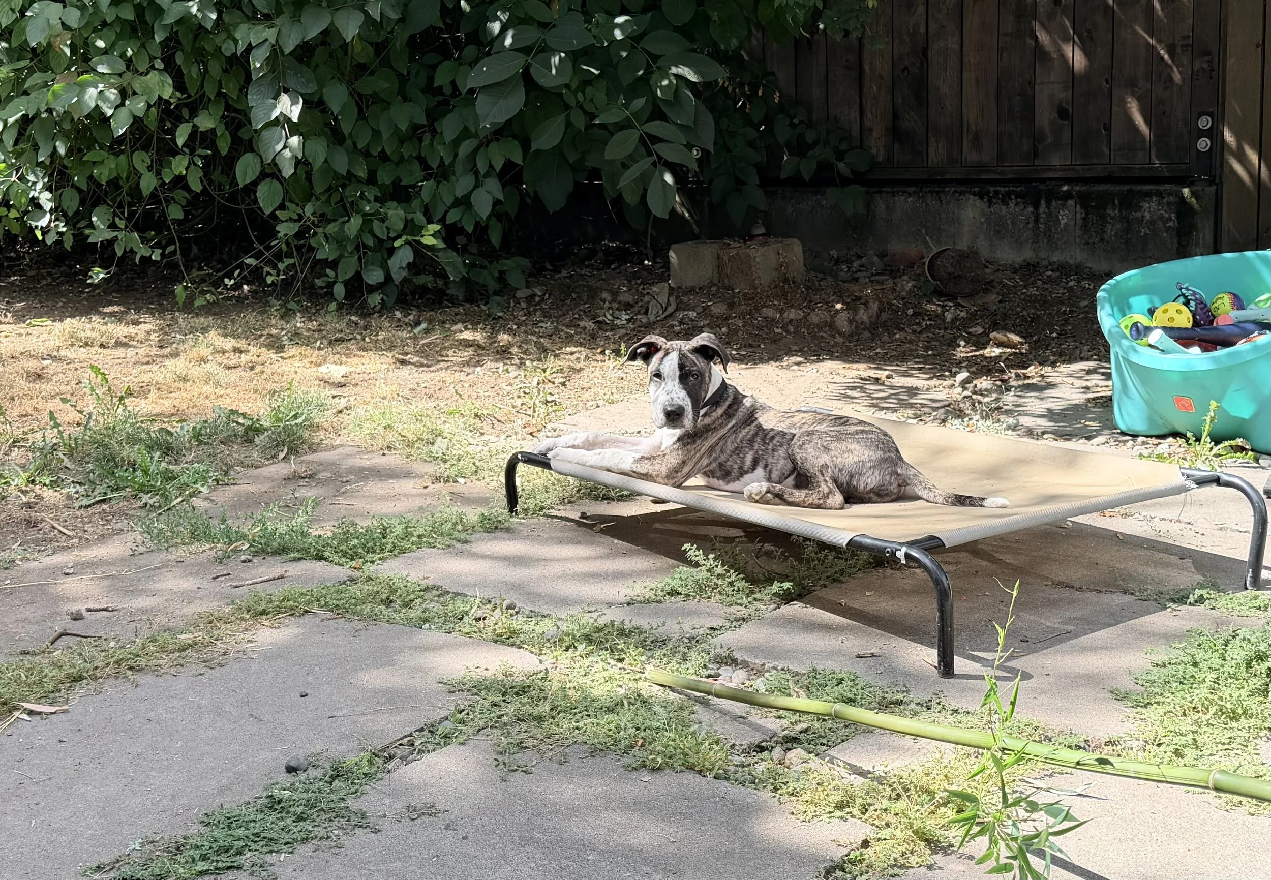 IMG_0762.jpeg