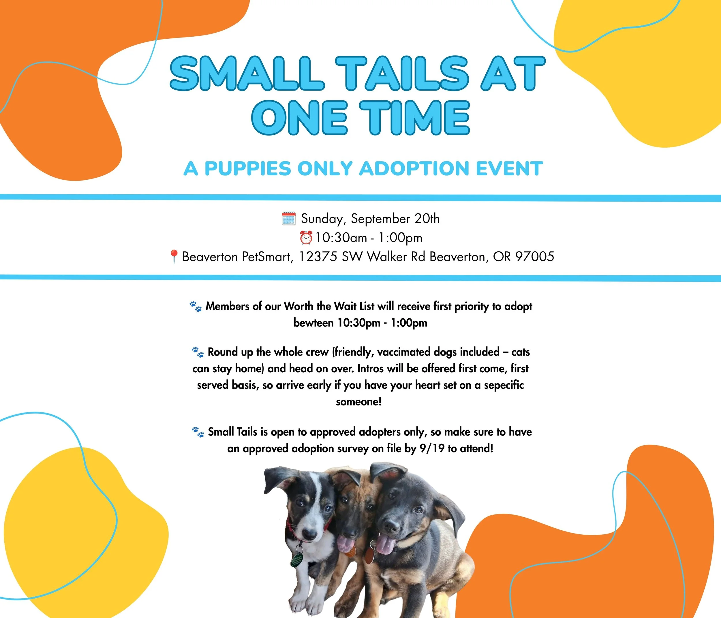 Small Tails at One Time (Copy)