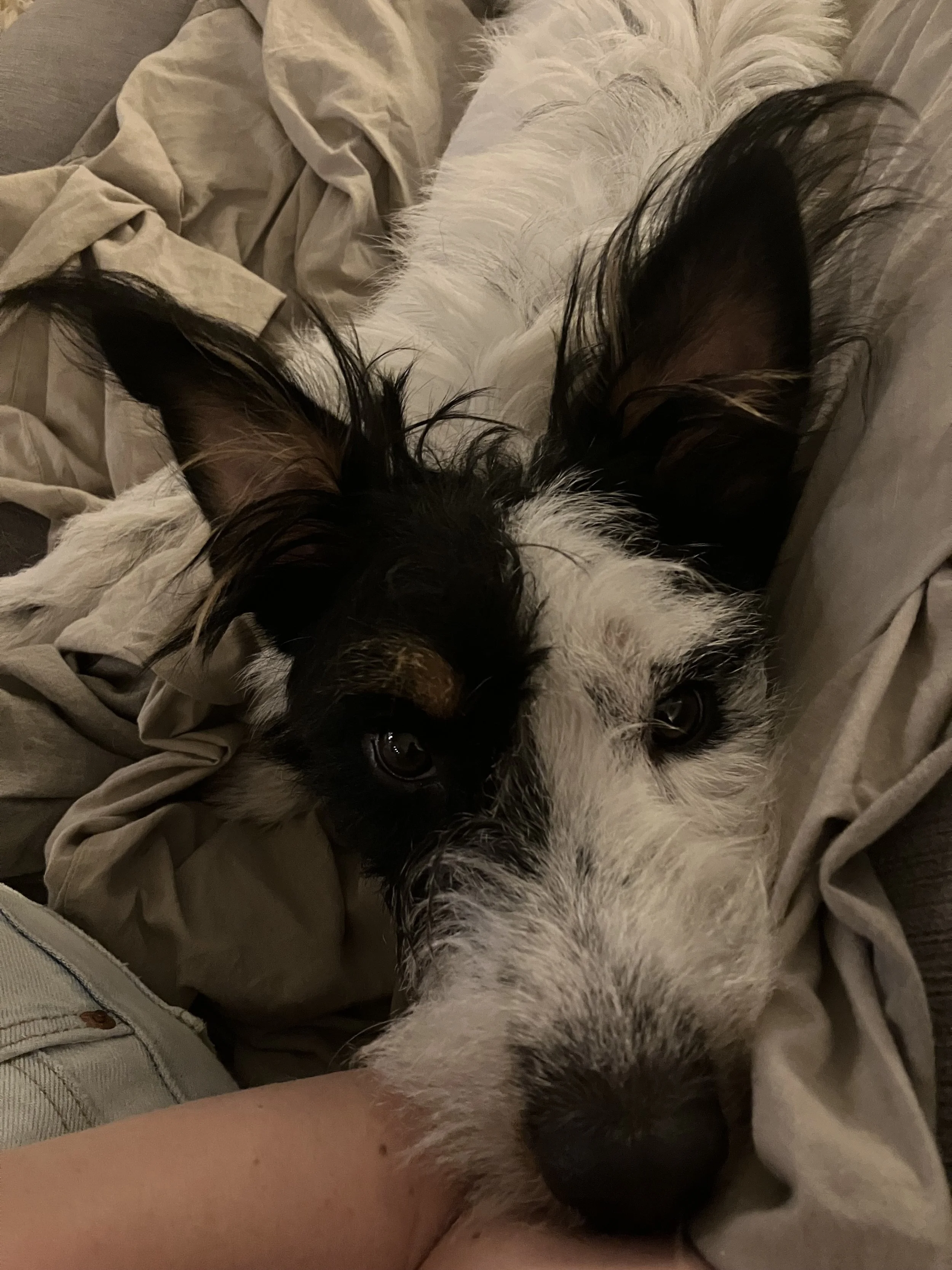 Ottosnugglesup.jpg