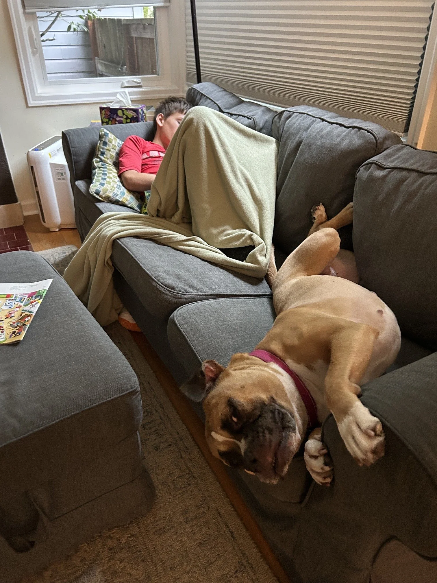 Quesaritosnuggles2.jpeg