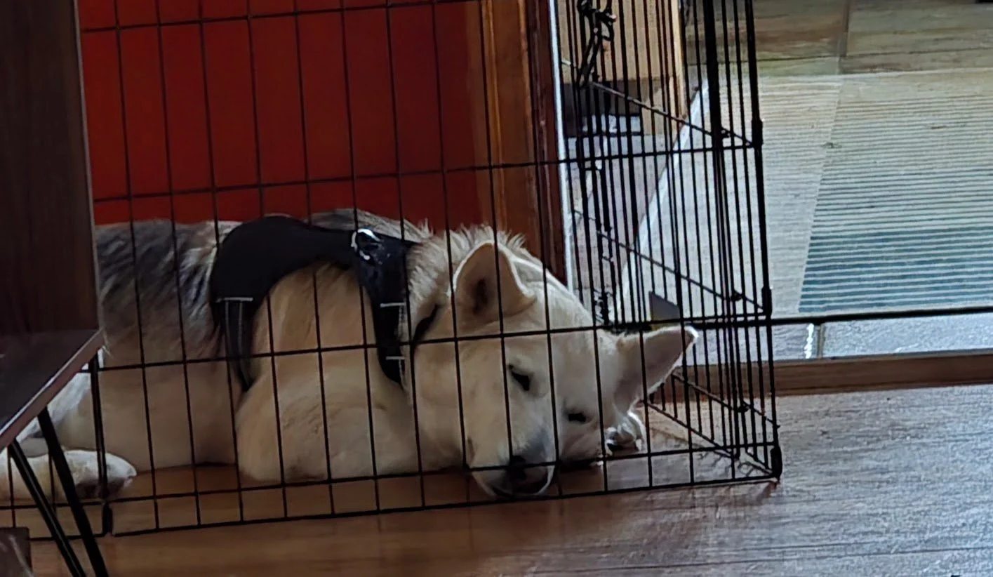 Monasleepy.jpg