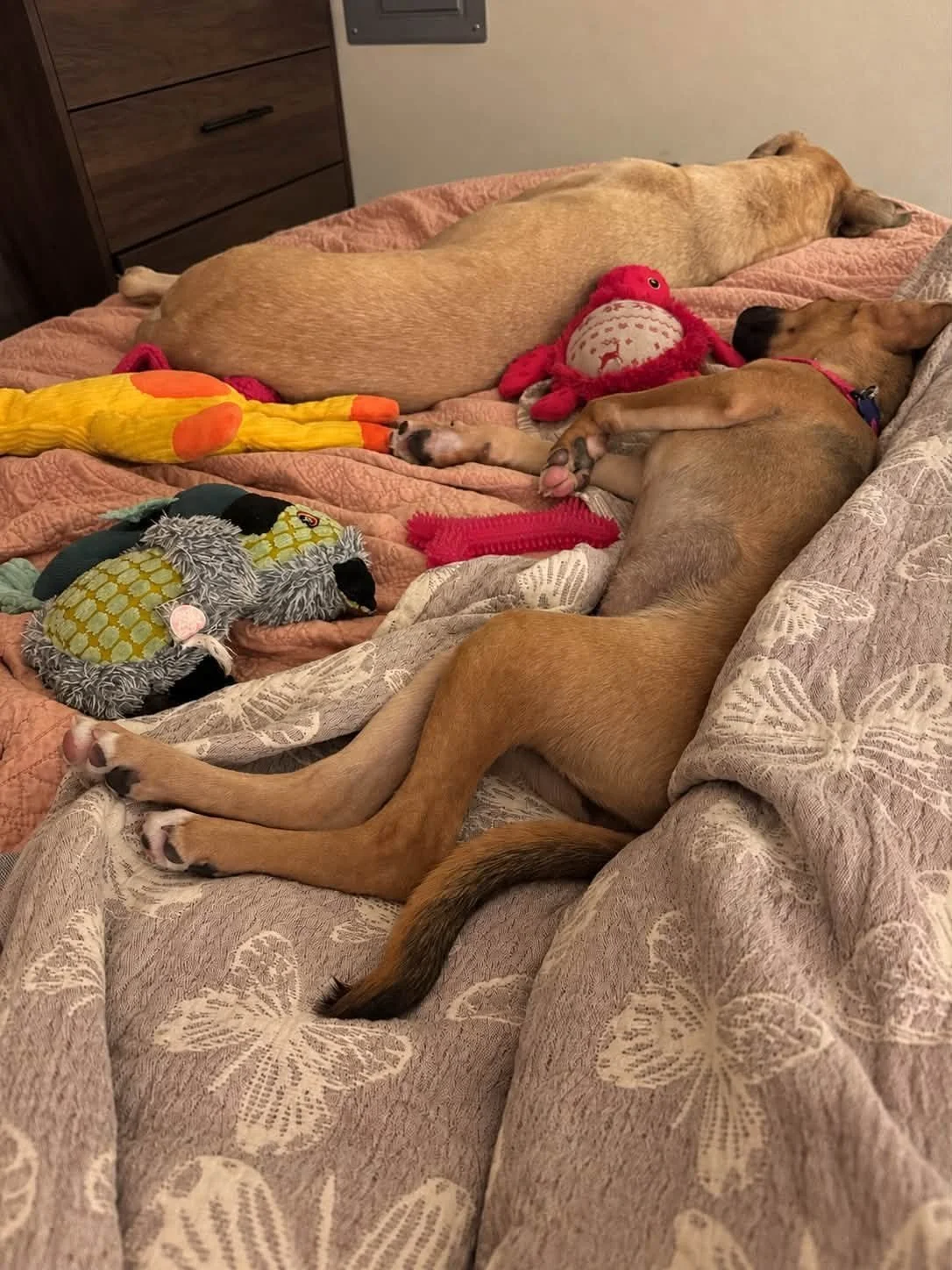 Elizabethandfriendsleeps.jpg