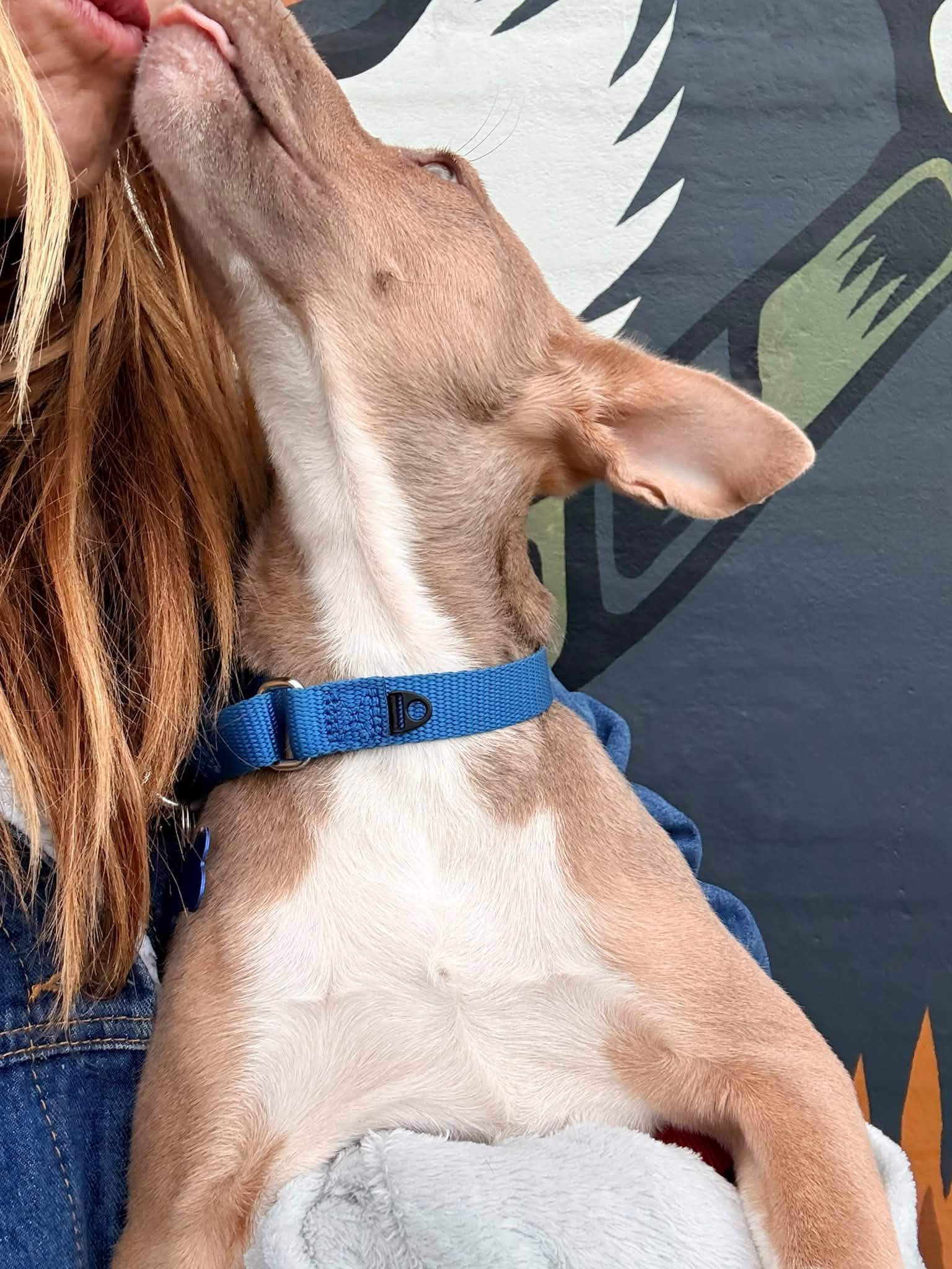 Milhousekisses.jpg