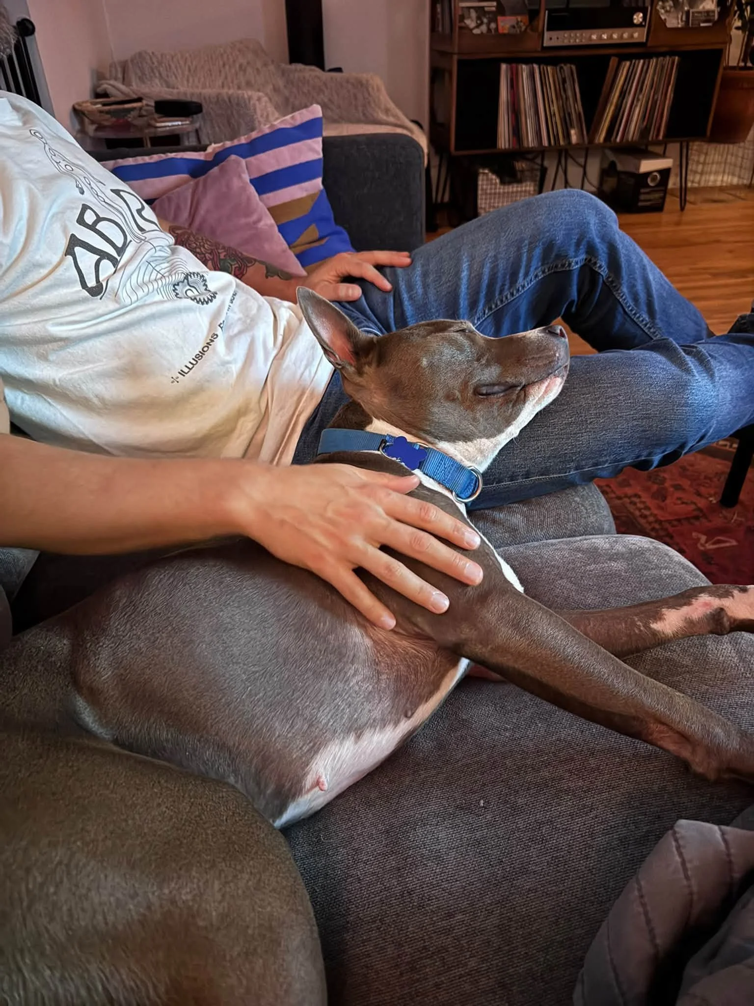 Maudecuddles.jpg