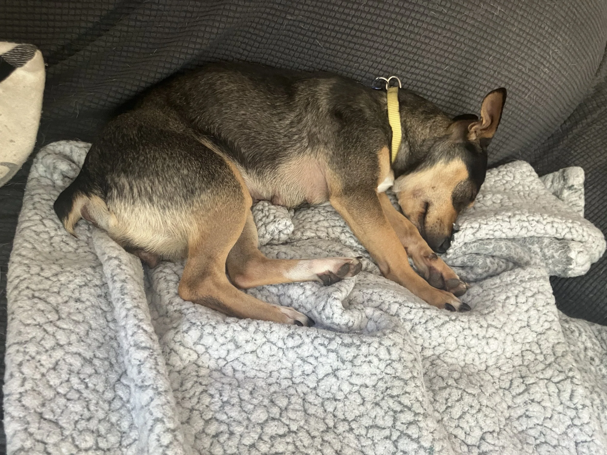 CTwistssleeps.jpeg