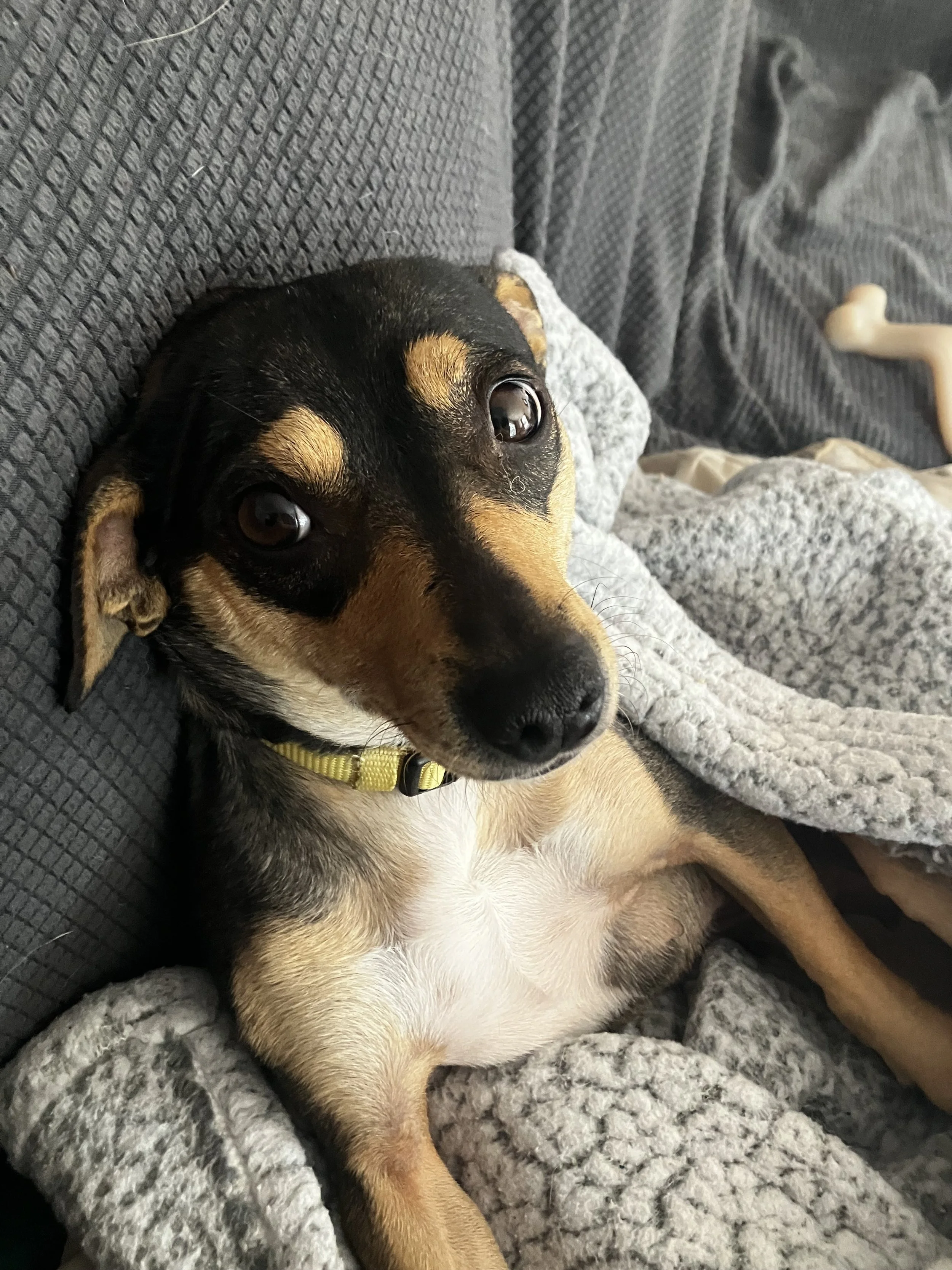 CTwistsblankey.jpeg