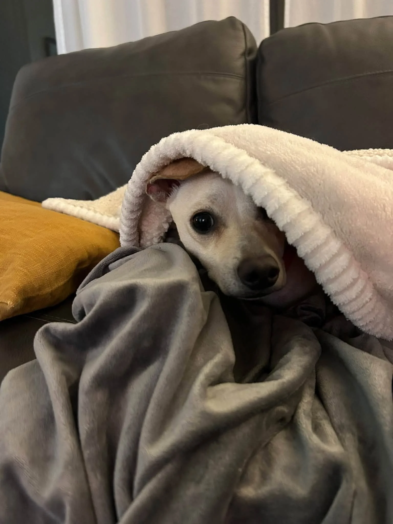 Nedblanket.jpg