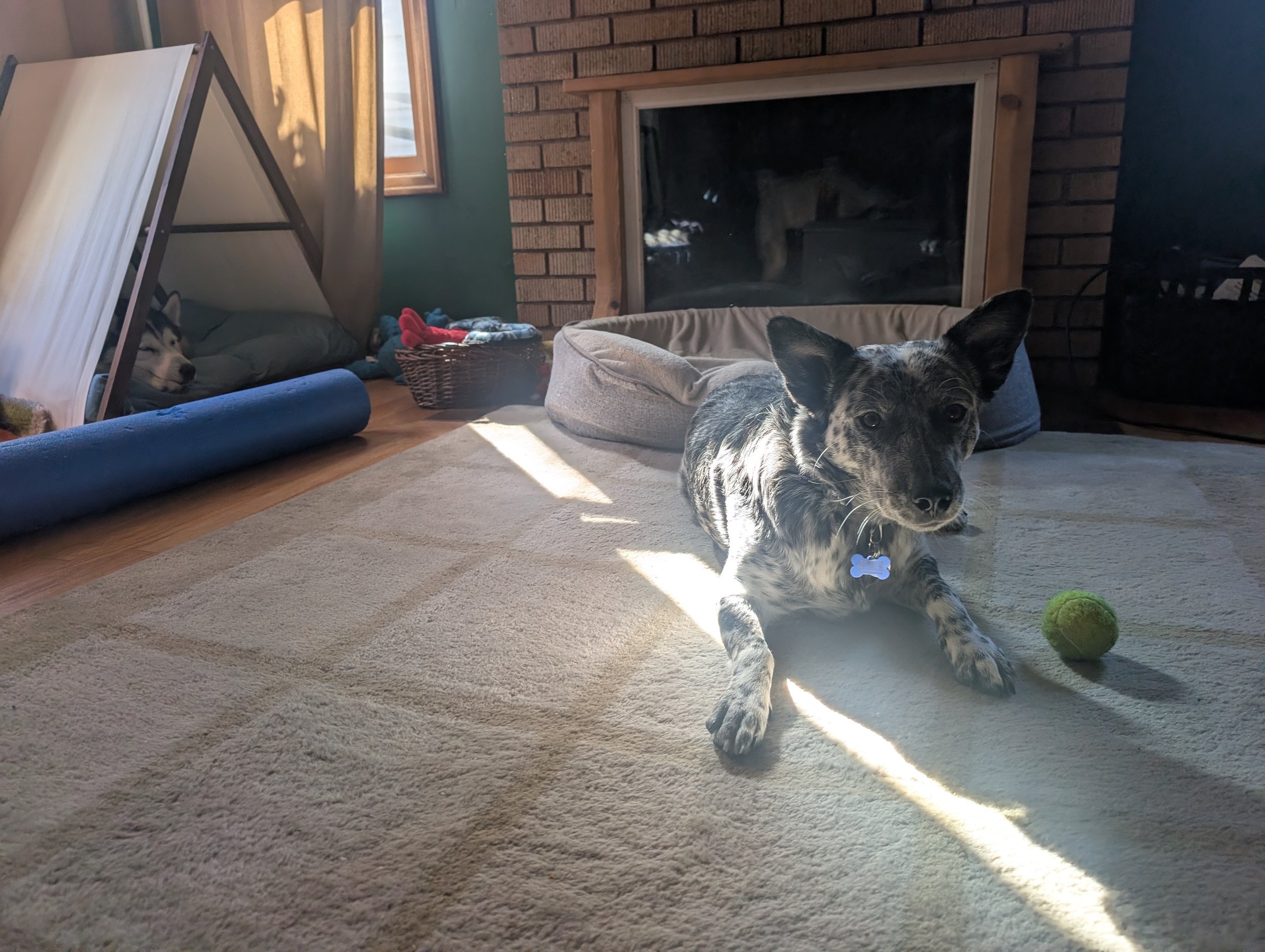 Frieda3.jpg