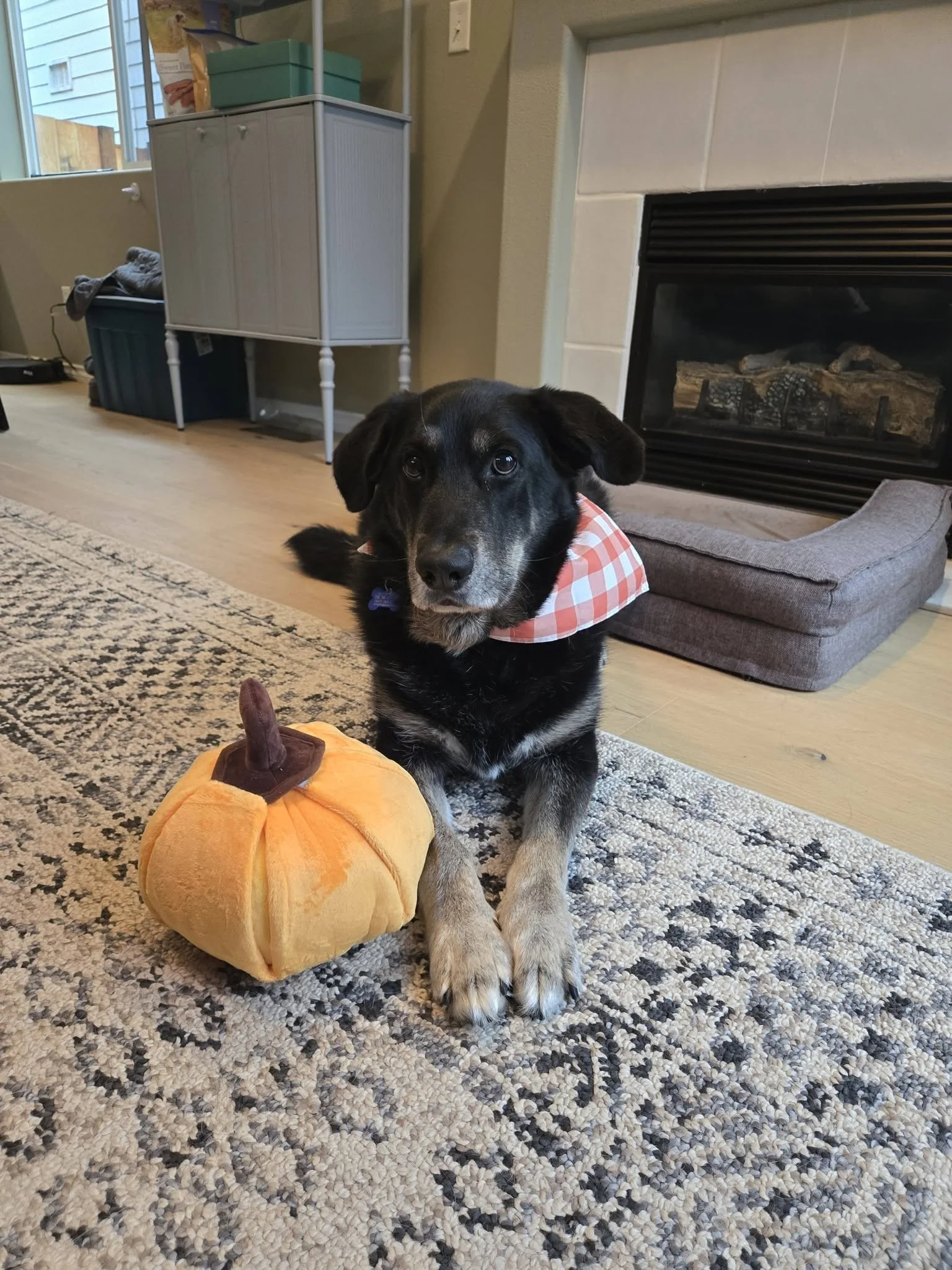 Karlpumpkin.jpg