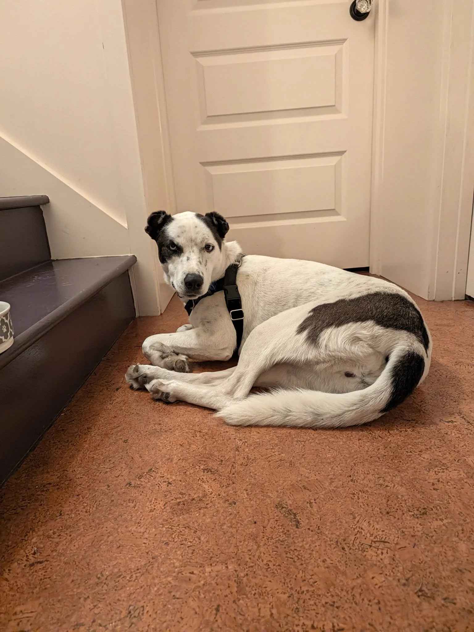 Slate.jpg