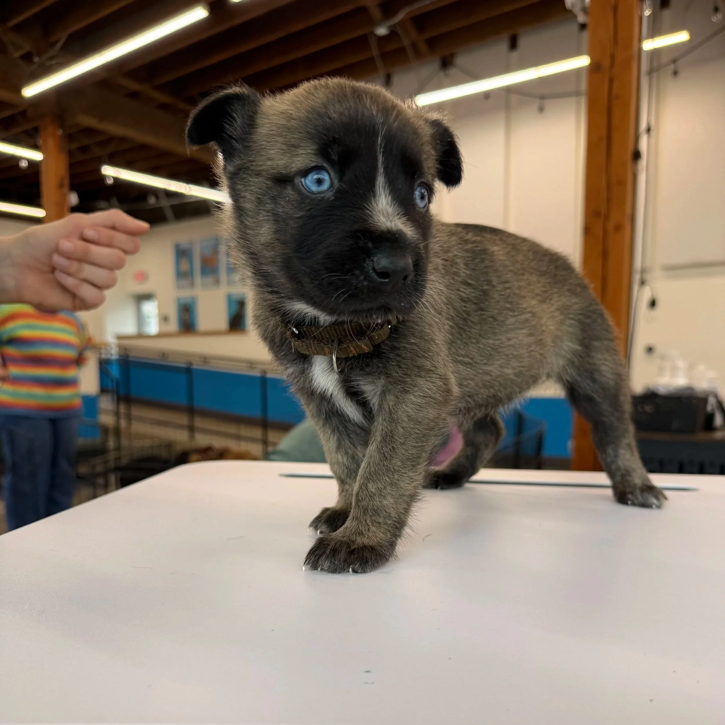 IMG_2907.jpg