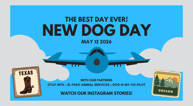 New Dog Day with OTAT PDX