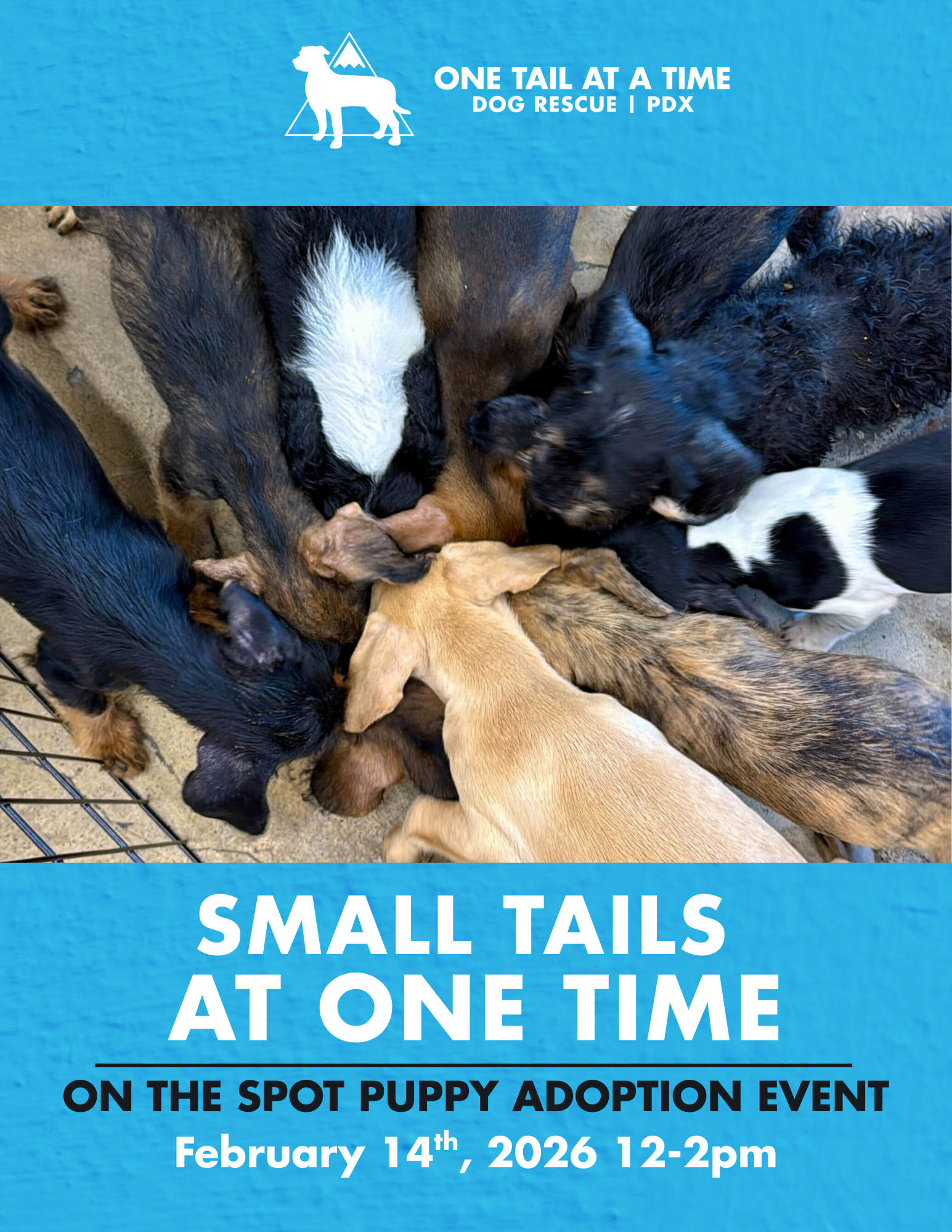 A Very Special Valentine’s Small Tails