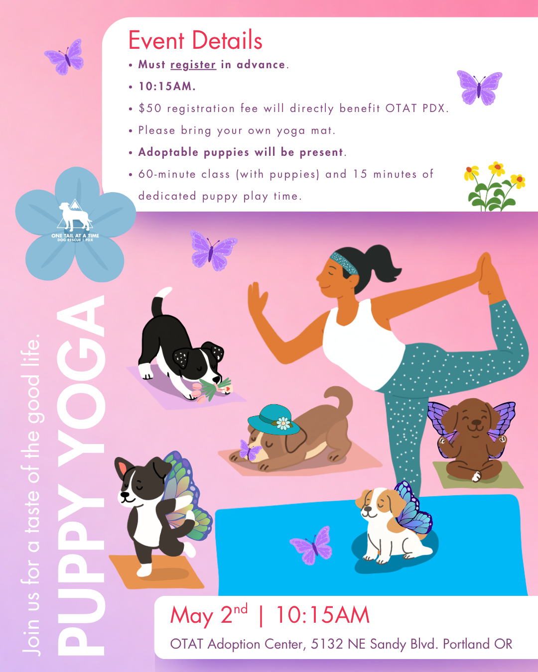 Human doing yoga surrounded by adoptable Portland puppies