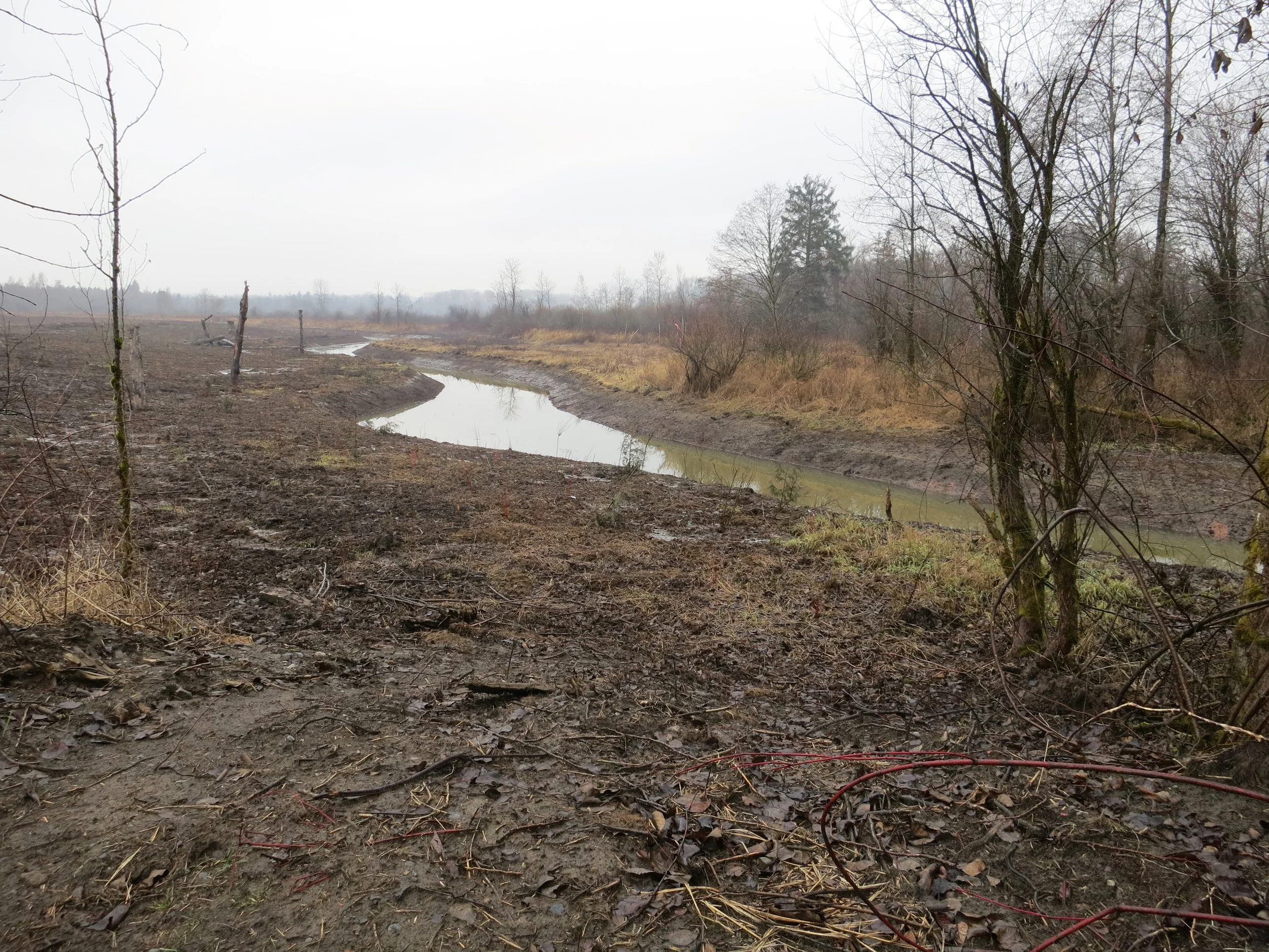 surrey bend const2.JPG