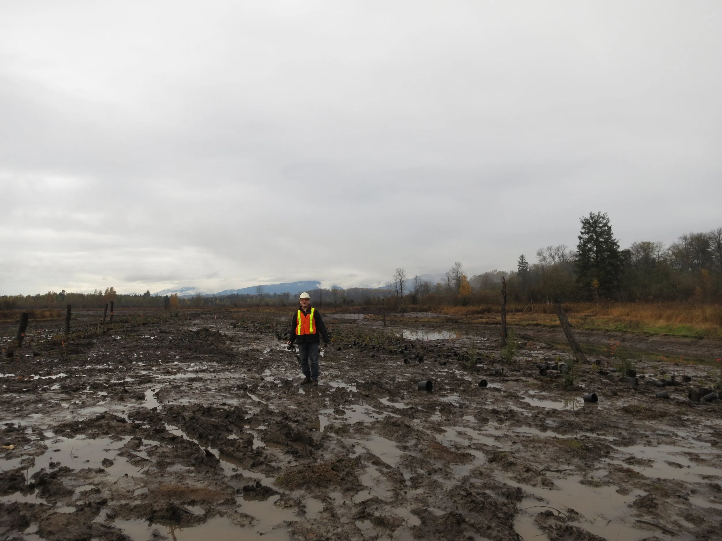 surrey bend const1.JPG