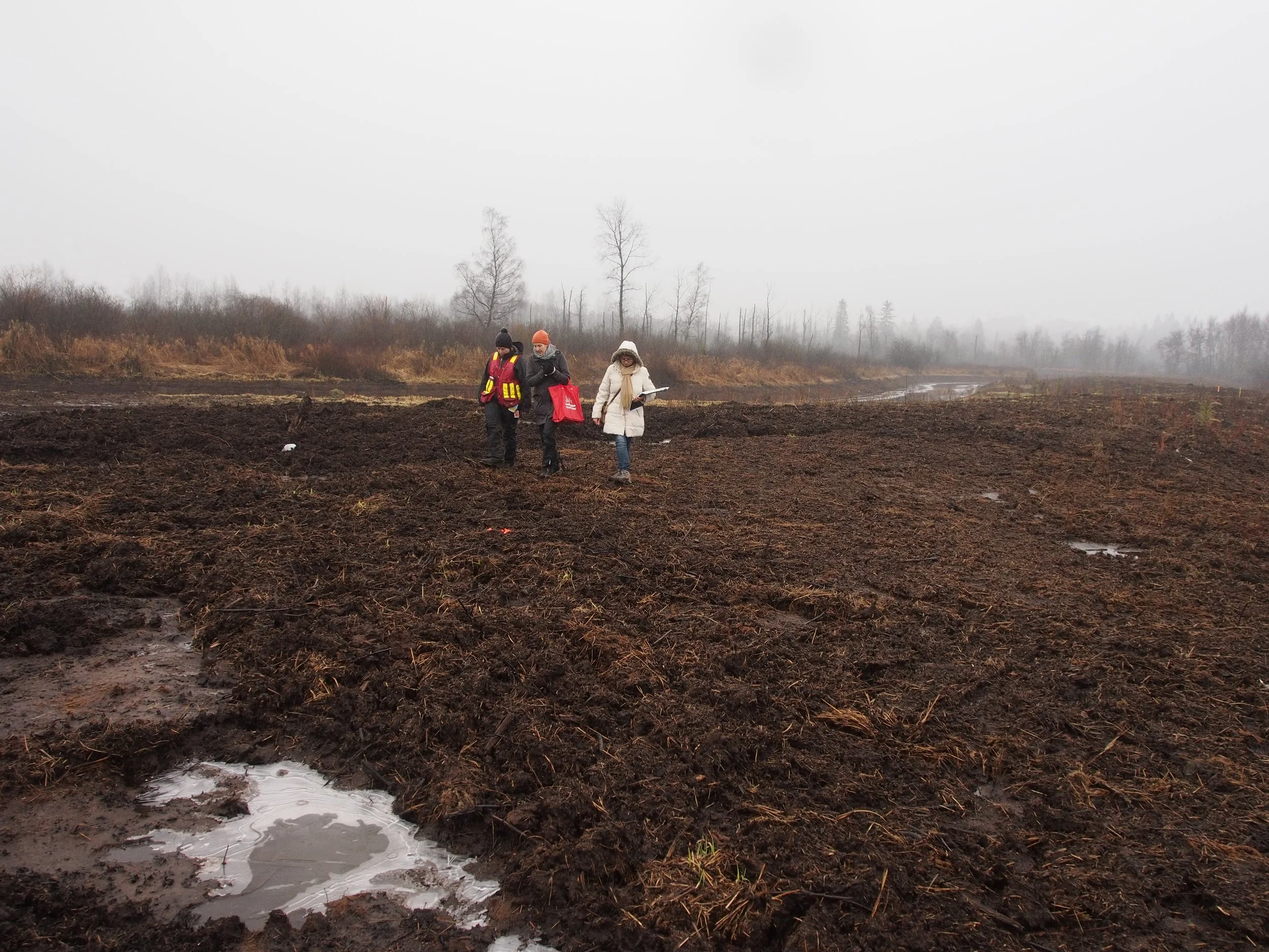 surrey bend const8.JPG