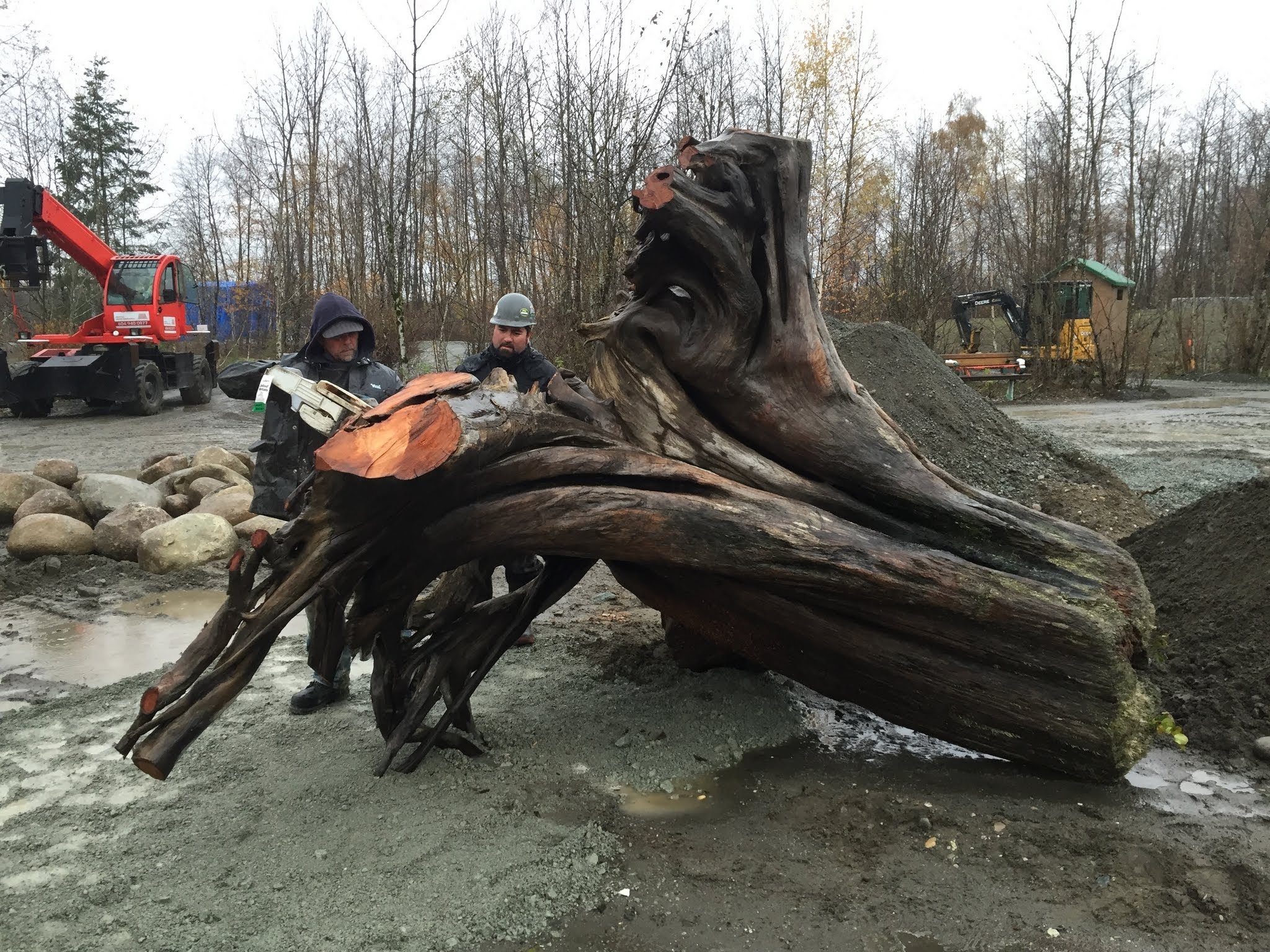 surrey bend const stump.JPG
