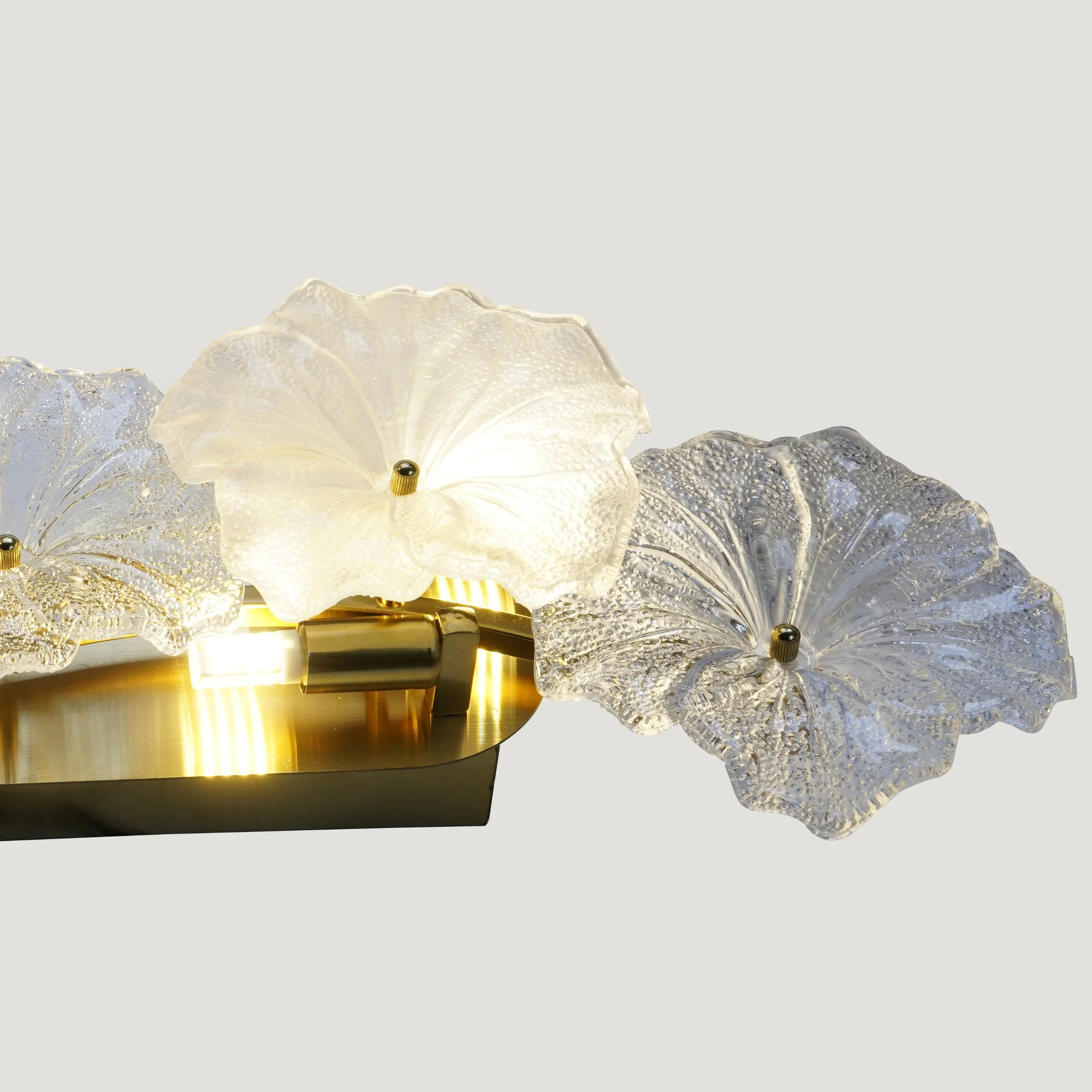 BY17-01-03-Efperfect-Lina-251222 .jpg