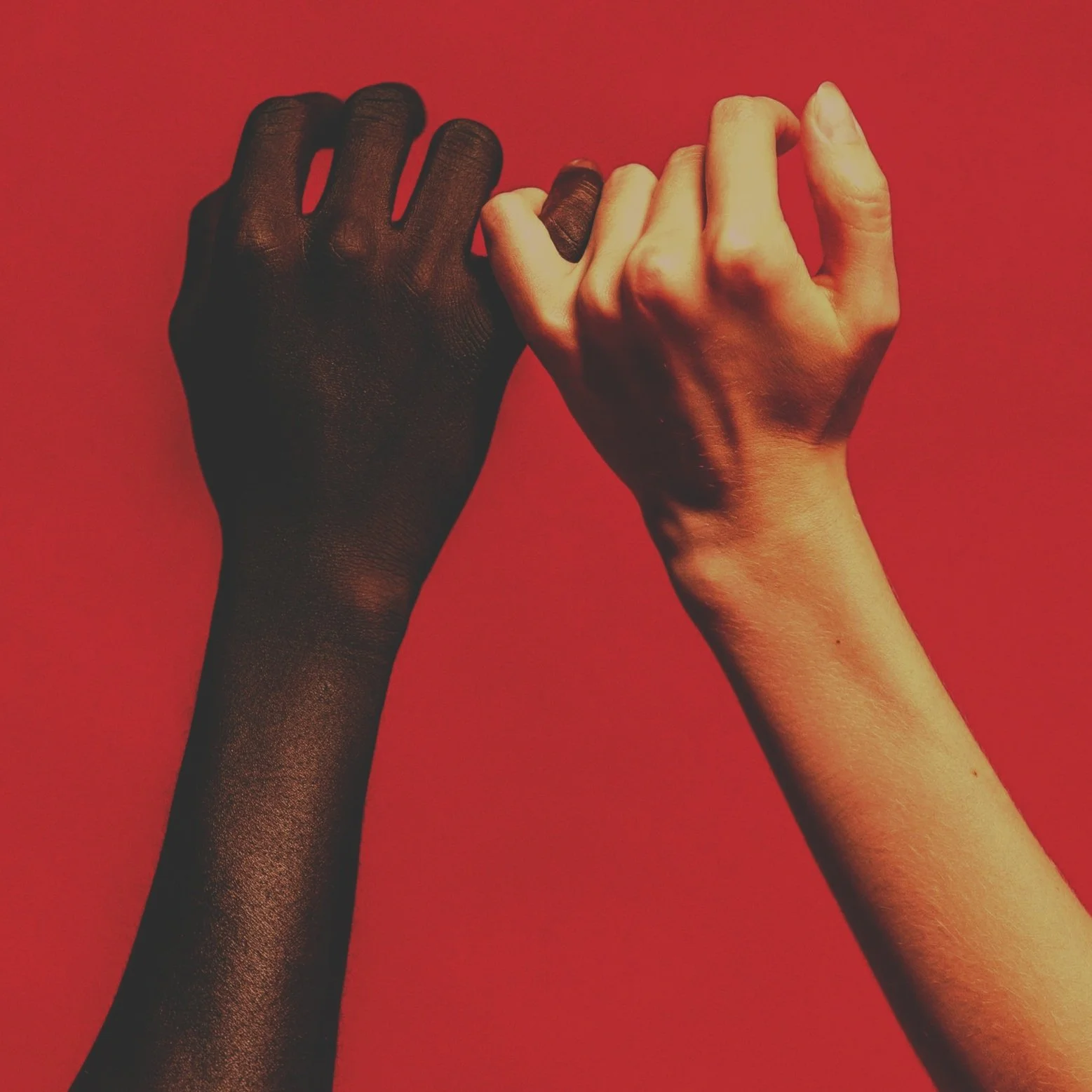 CULTIVATE CONNECTION THIS HOLIDAY SEASON