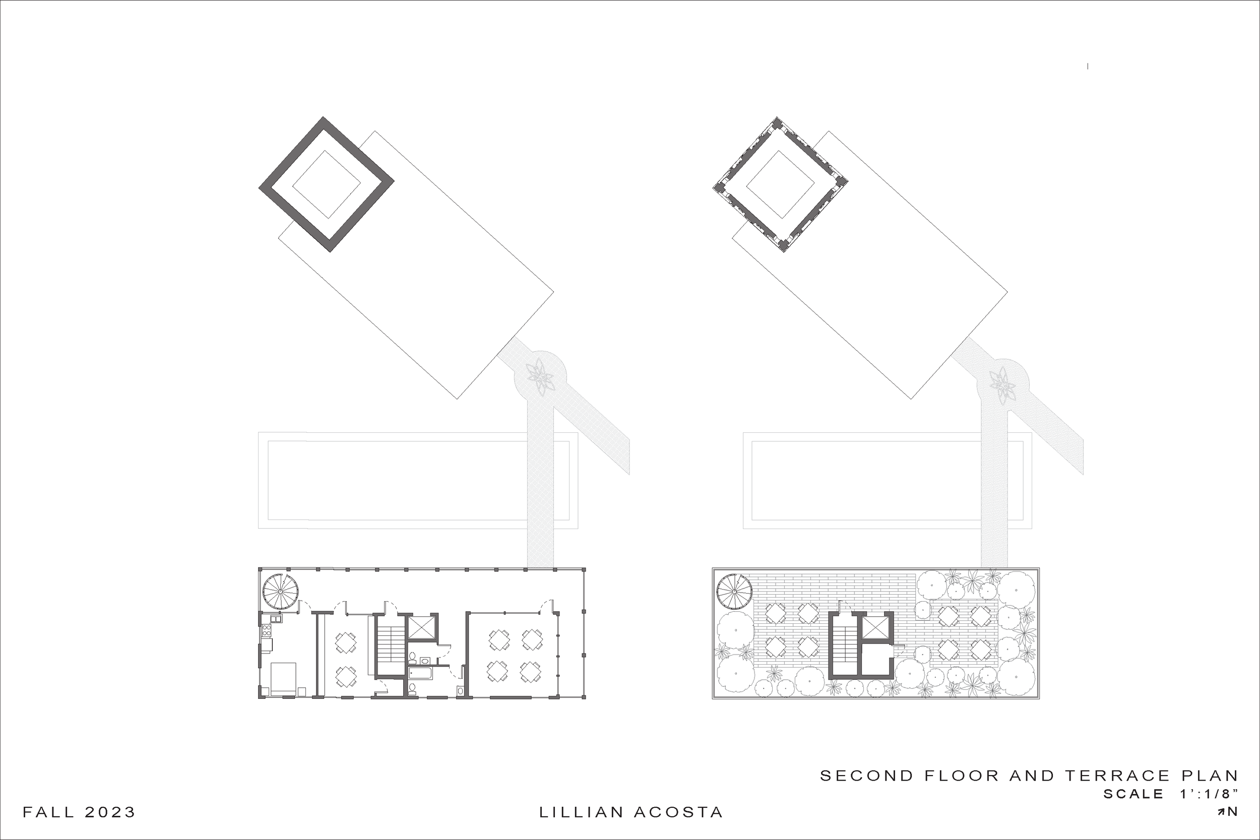 Lilly Final Presentation Sheets_Page_4.png