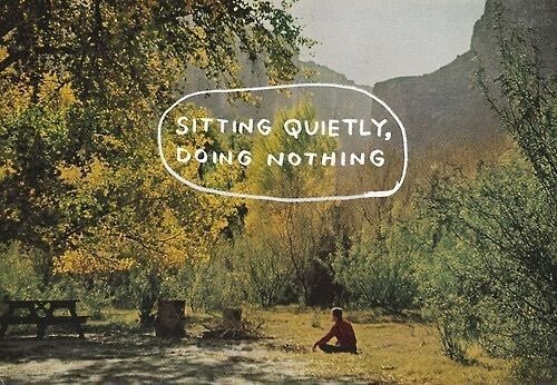 ✨&ldquo;Sitting quietly, doing nothing, 
Spring comes, and the grass grows, by itself.&rdquo;
Zen Master Matsuo Basho

✨&ldquo;As muddy water is best cleared by leaving it alone, it could be argued that those who sit quietly and do nothing are making