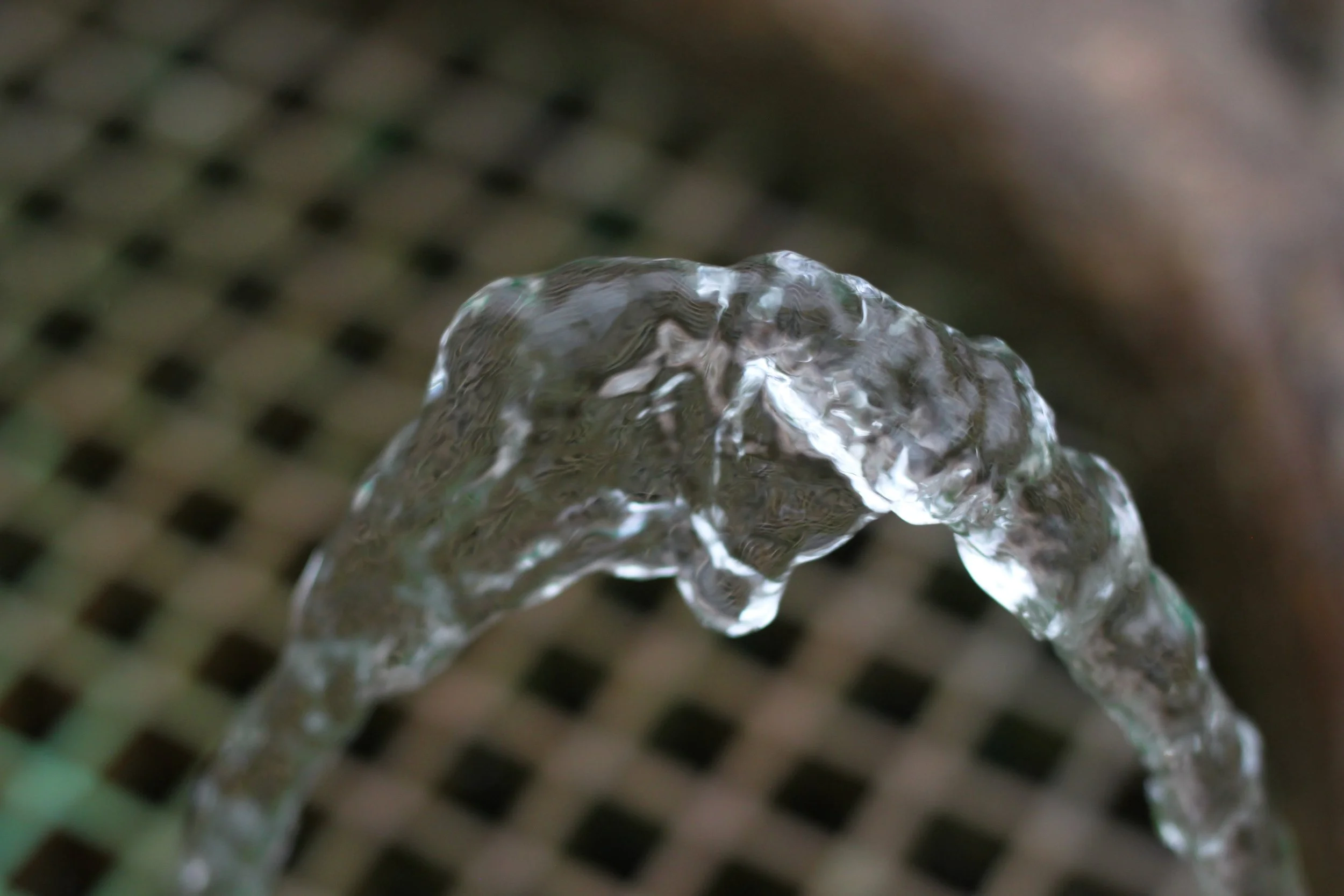Spring Water at Richard T. Anderson Conservation Area