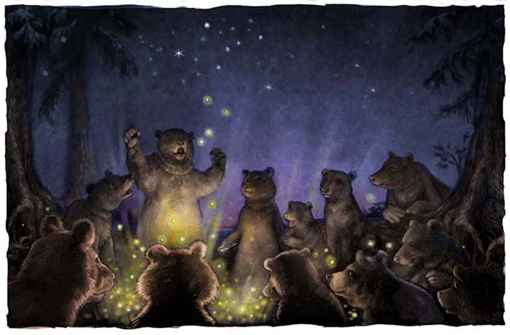 bearfirflies.jpg