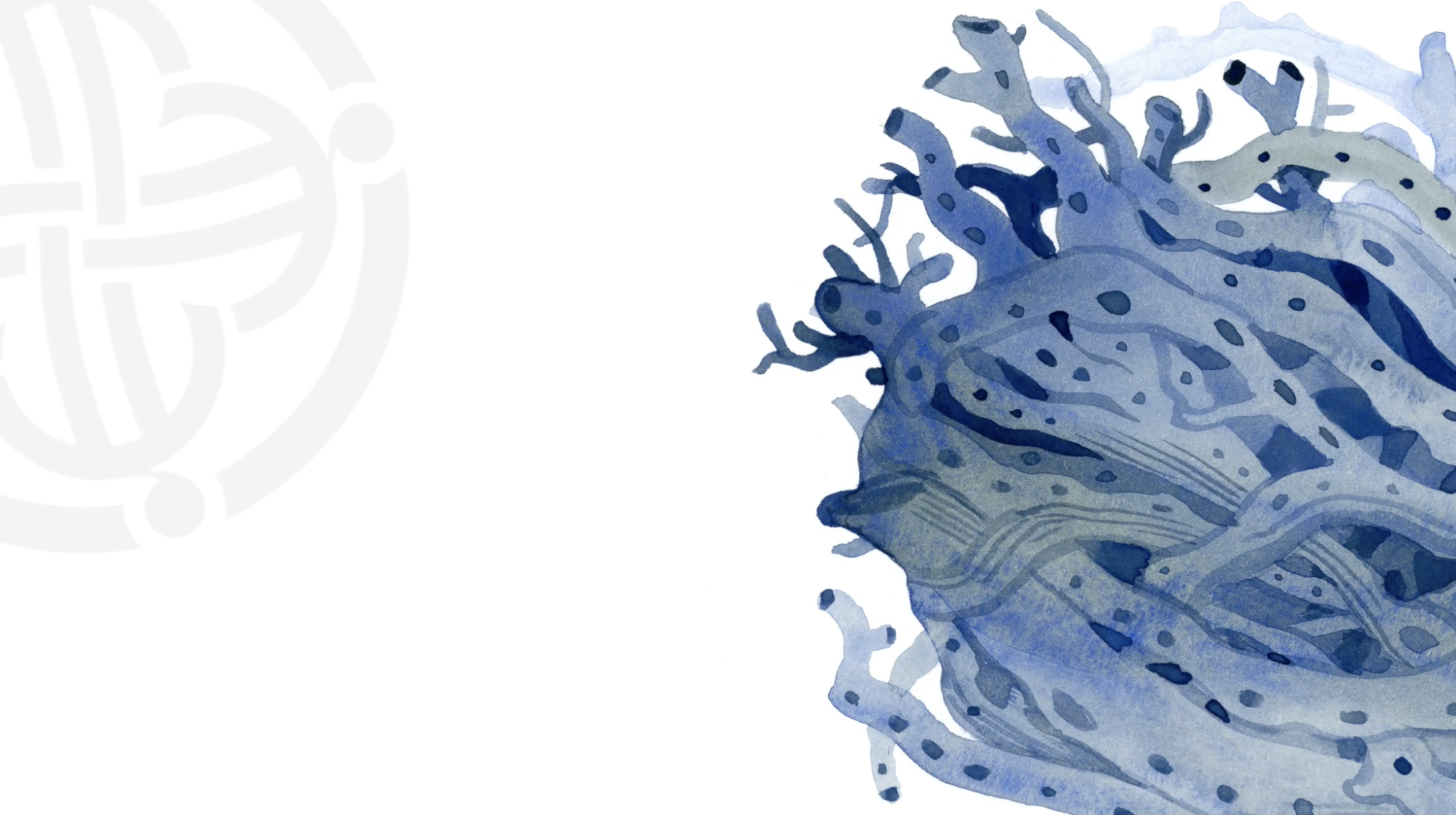 Rising – Weir, Vertue