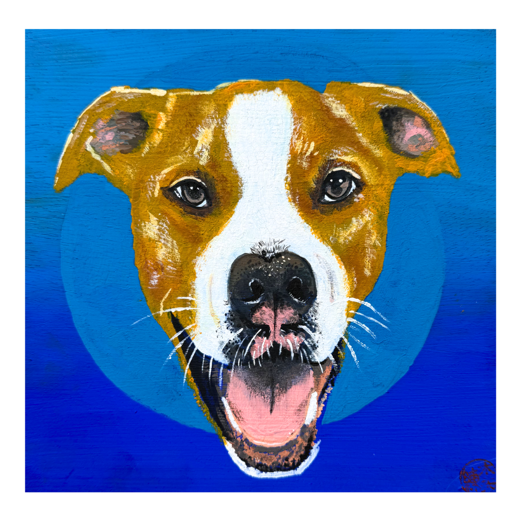 COOPER (6" x 6" - Gouache on Wood Panel)