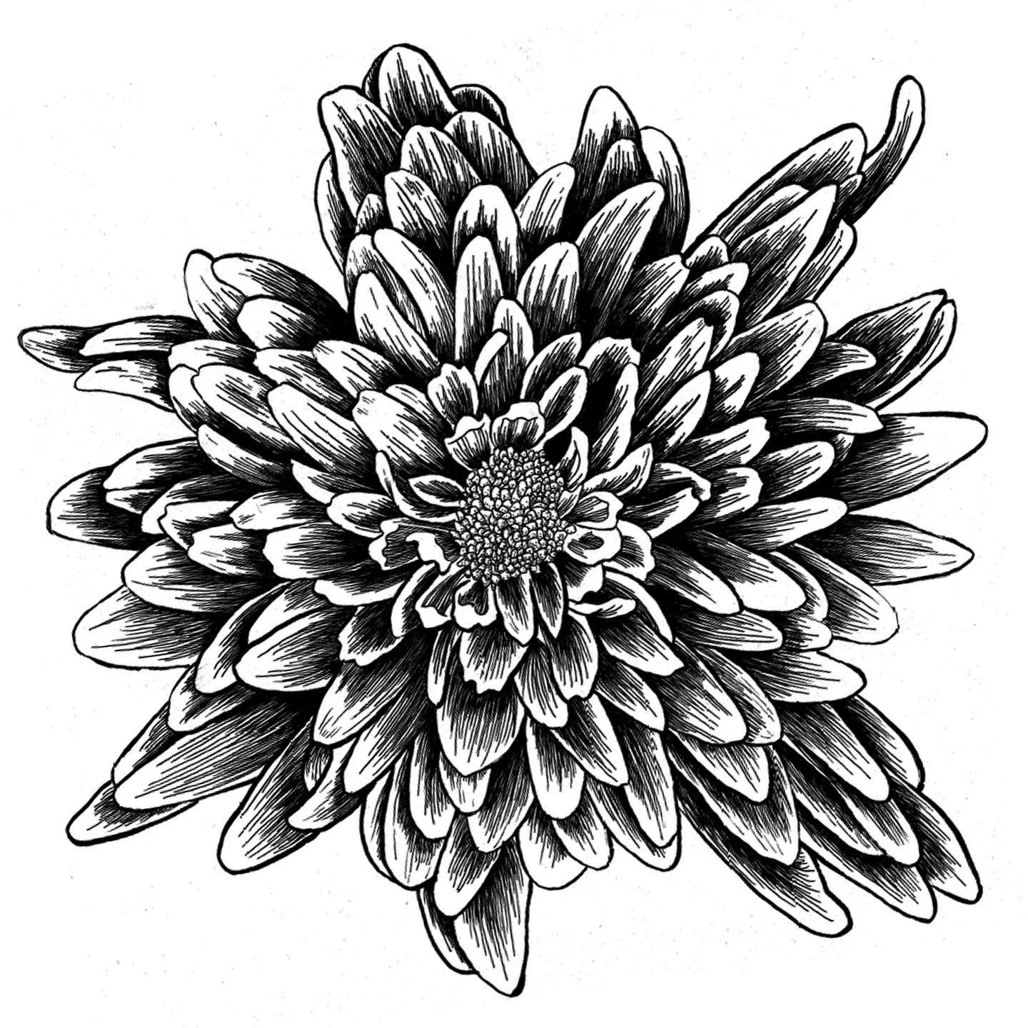 ONE BIG MUM (12" x 12" - Pen and Ink)