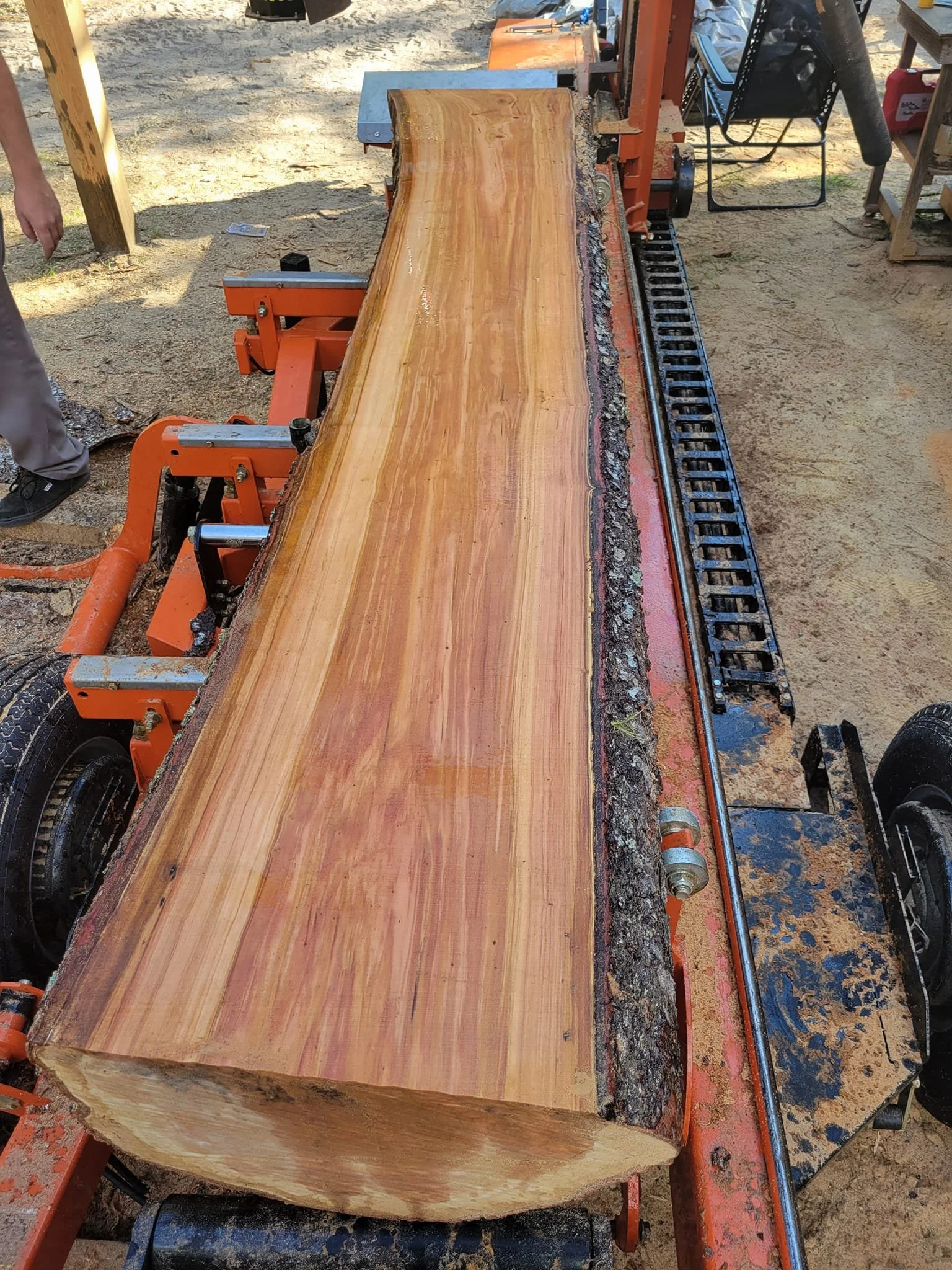 Bole & Branches Sawmill