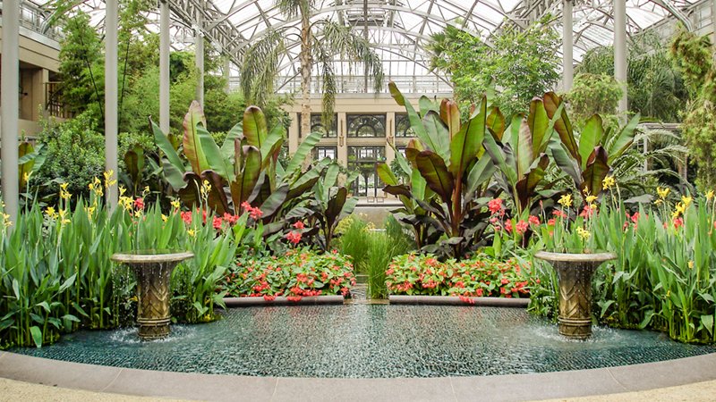 Longwood Gardens East Conservatory 