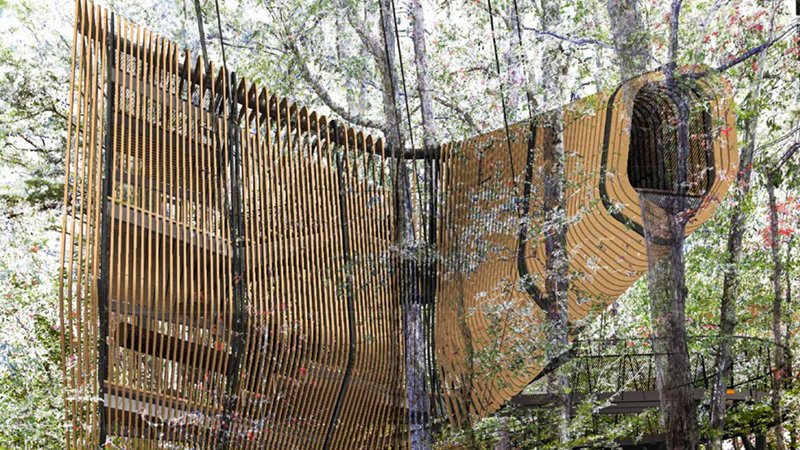 Garvan Woodland Gardens Treehouse