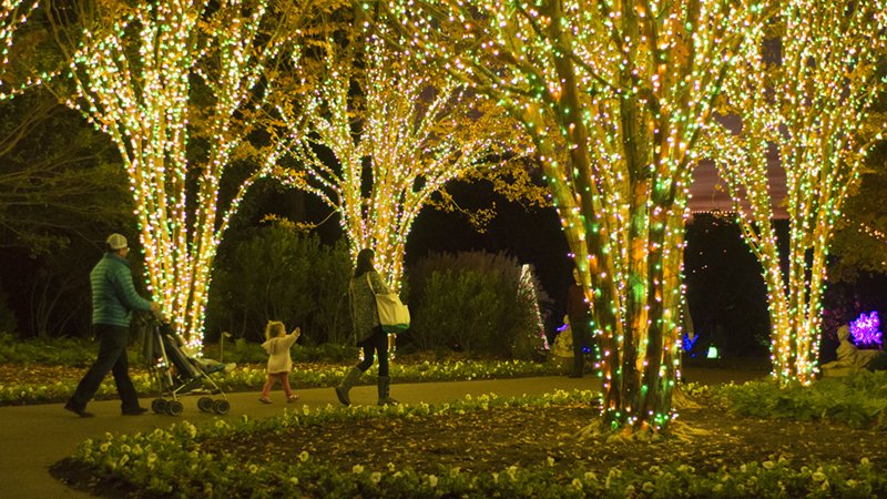 Cheekwood Estate &amp; Gardens Holiday Lights