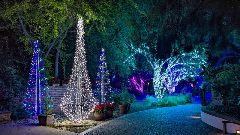 Tucson Botanical Garden Lights Up