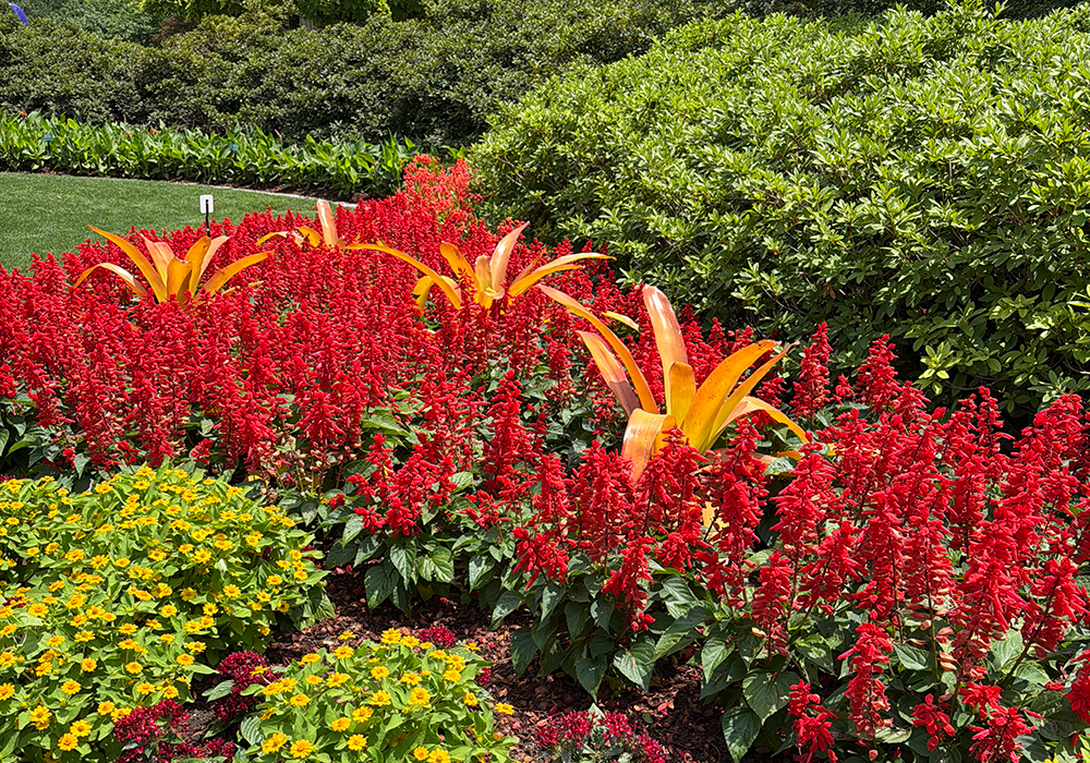 Public Garden Seasonal Horticultural Displays