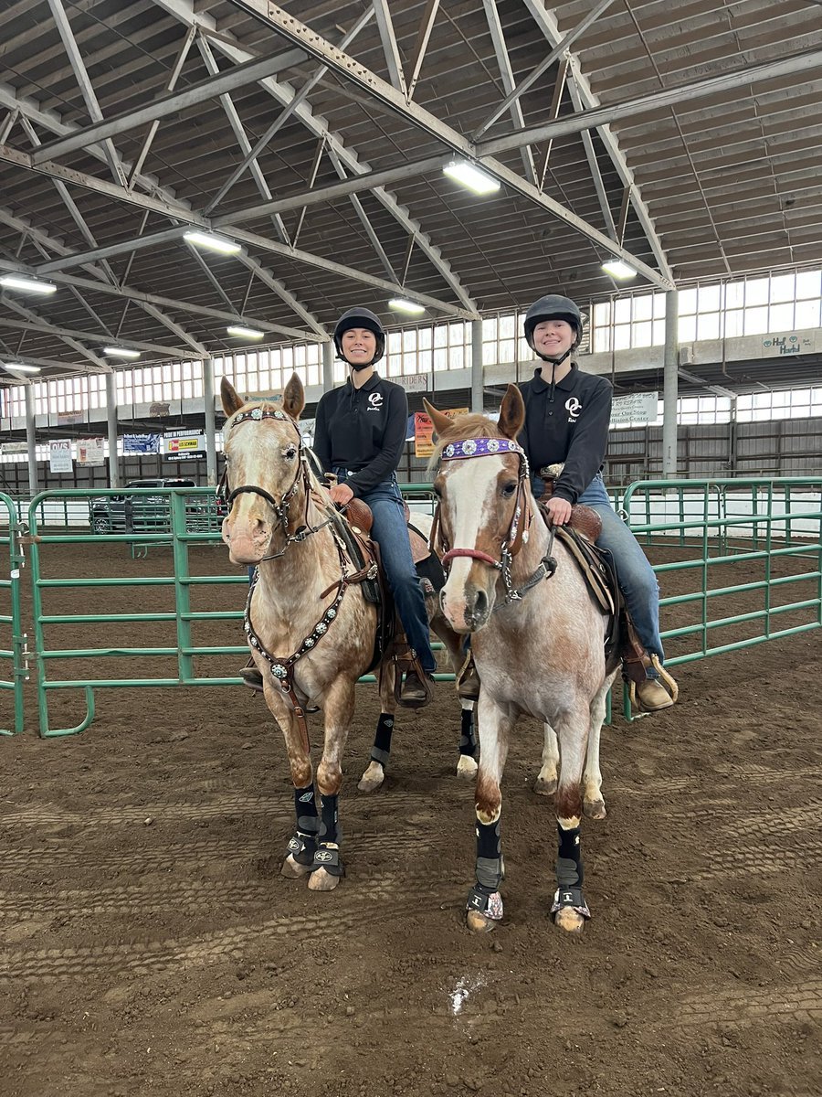 Equestrian - District Cow Sorting Record